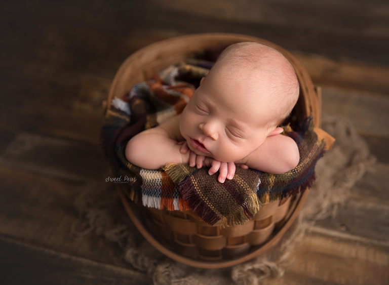 Lake Havasu Newborn Photographer