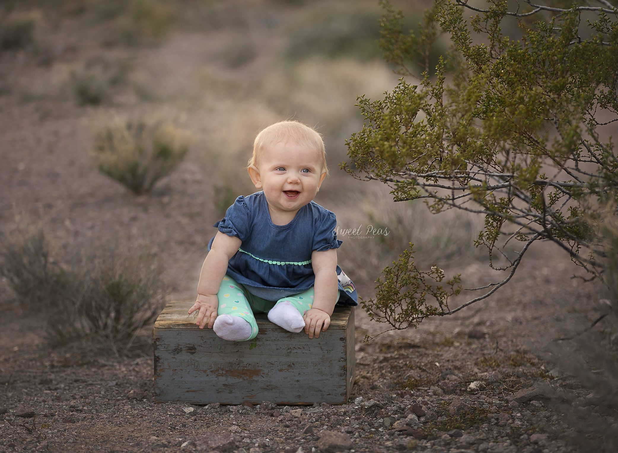 Kingman Baby Photographer
