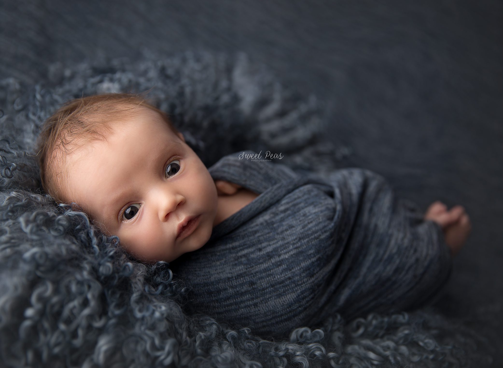 Kingman Newborn Photographer