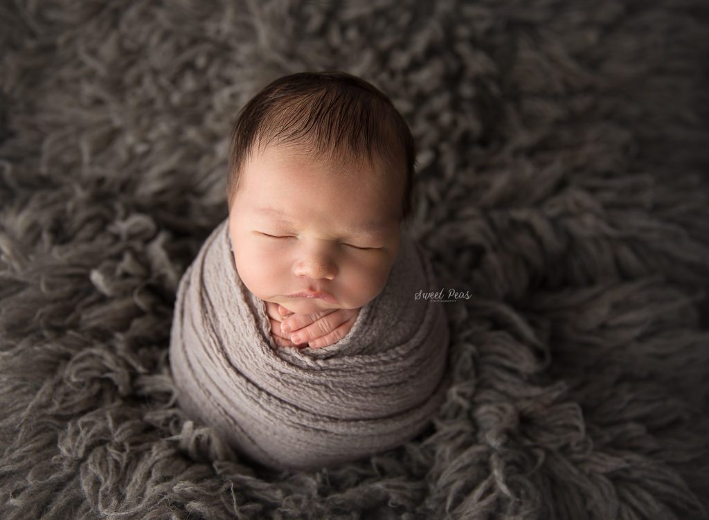 Prescott Newborn Photographer