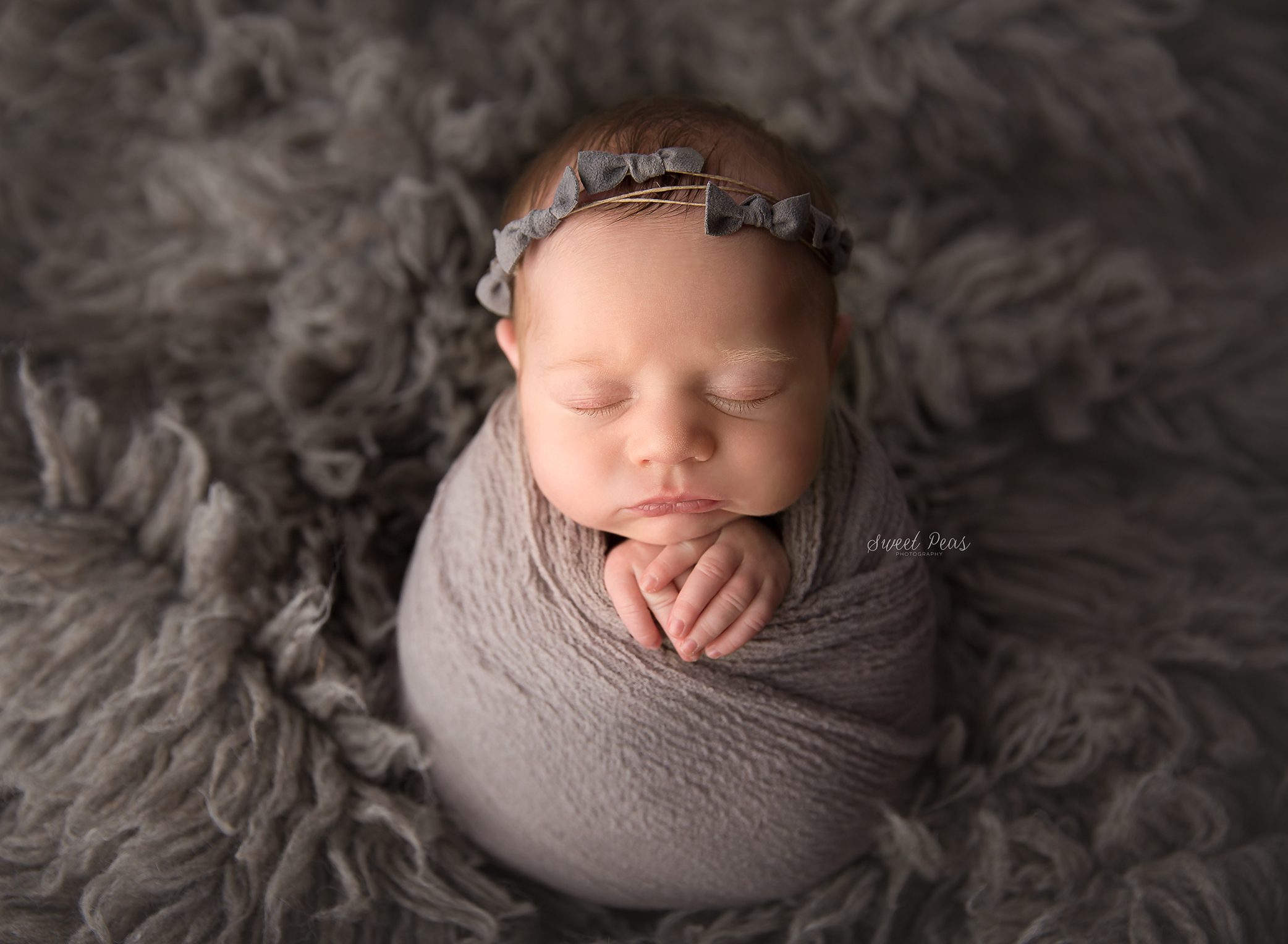 Prescott Newborn Photographer