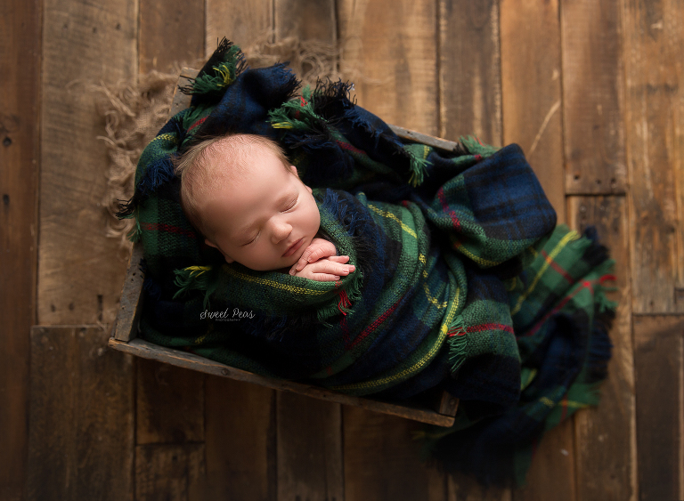 Prescott Newborn Photographer