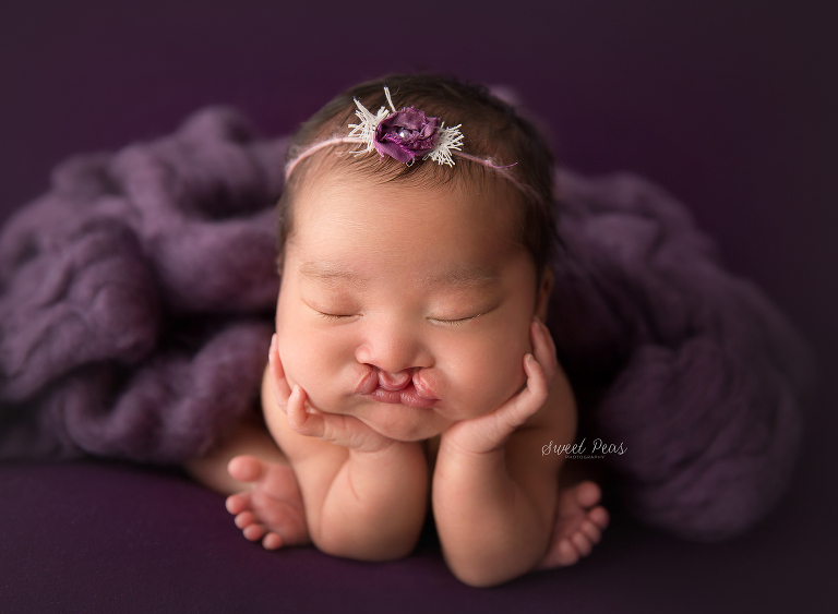 Prescott Newborn Photographer