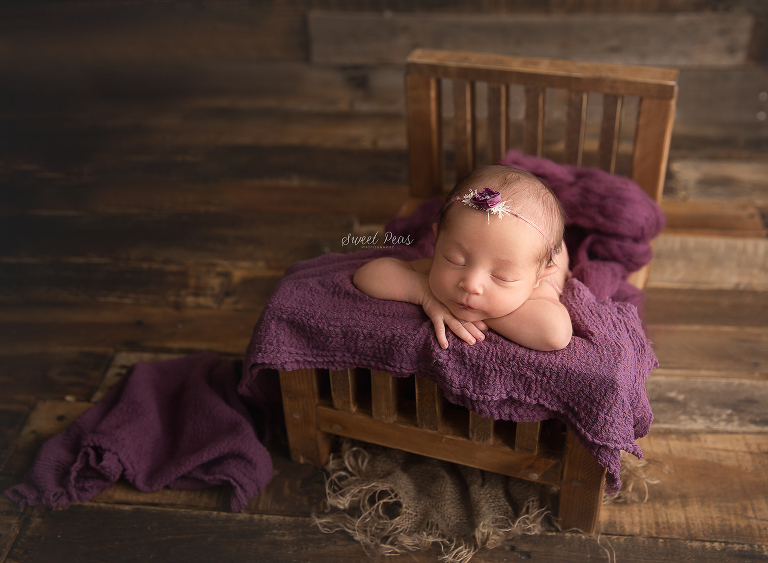 Flagstaff Newborn Photographer