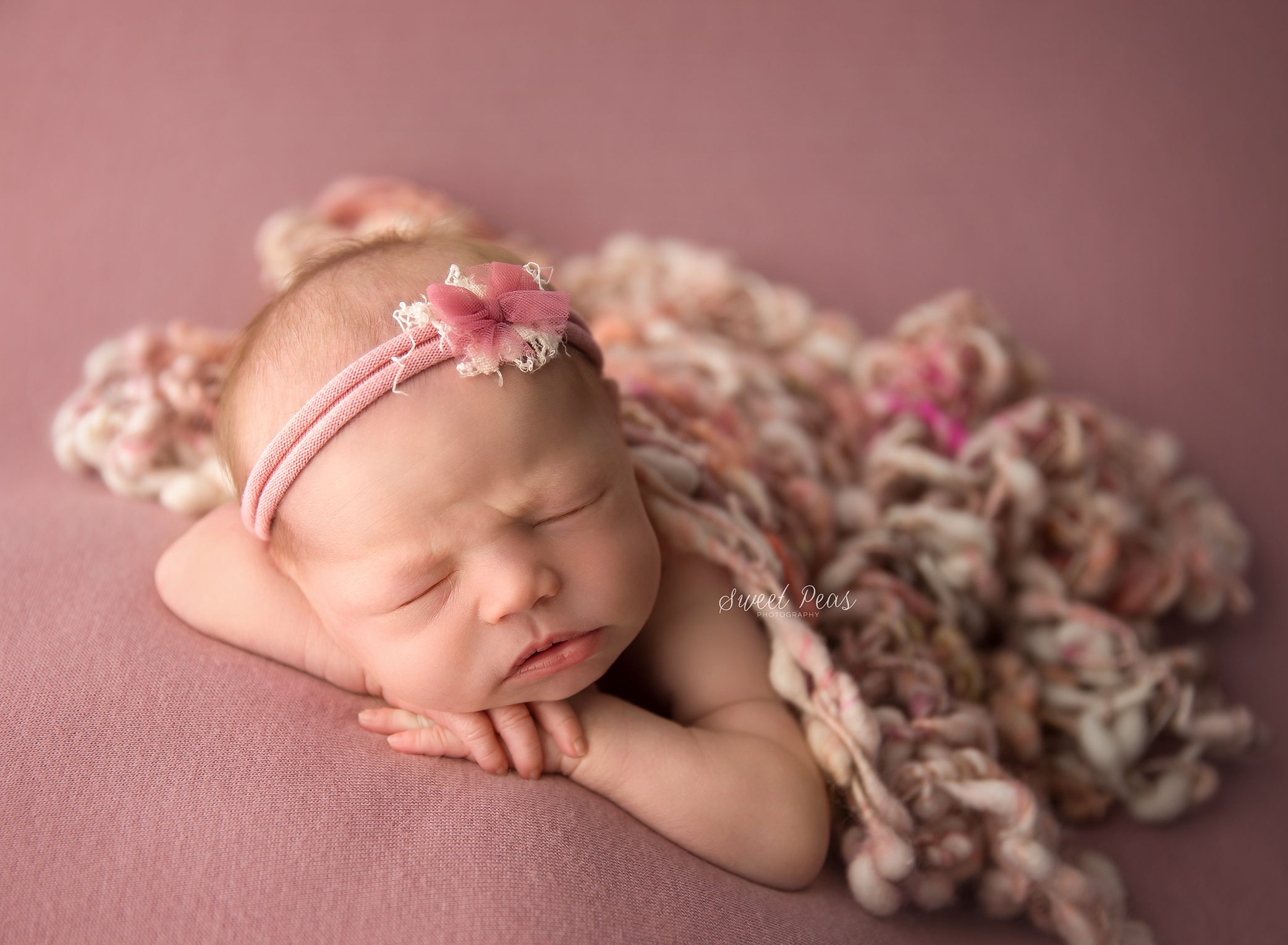Flagstaff Newborn Photographer