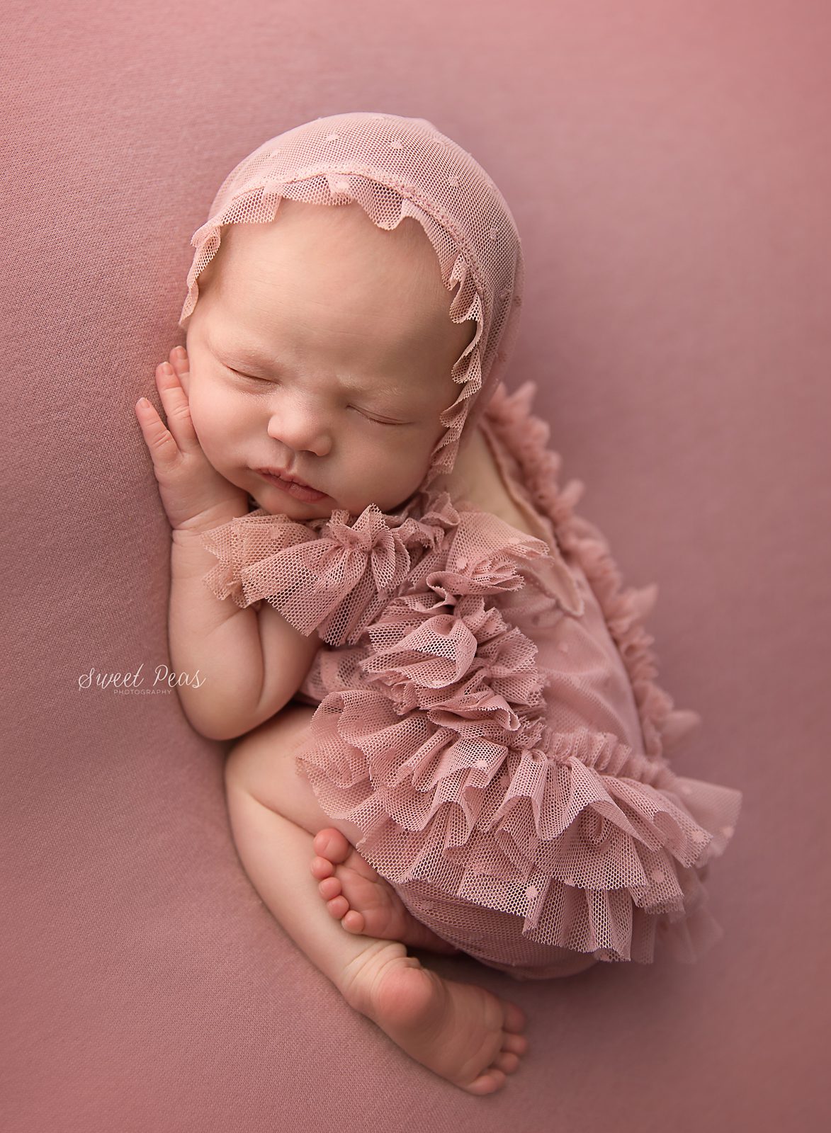 Prescott Newborn Photographer