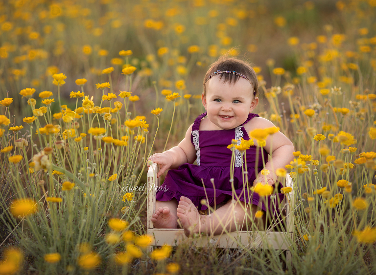 Flagstaff Baby Photographer