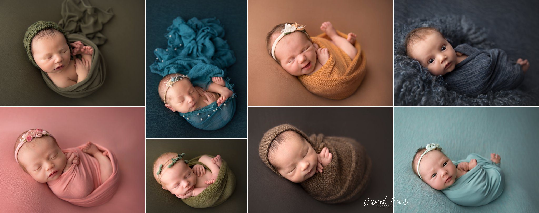Prescott Newborn Photographer sweet peas
