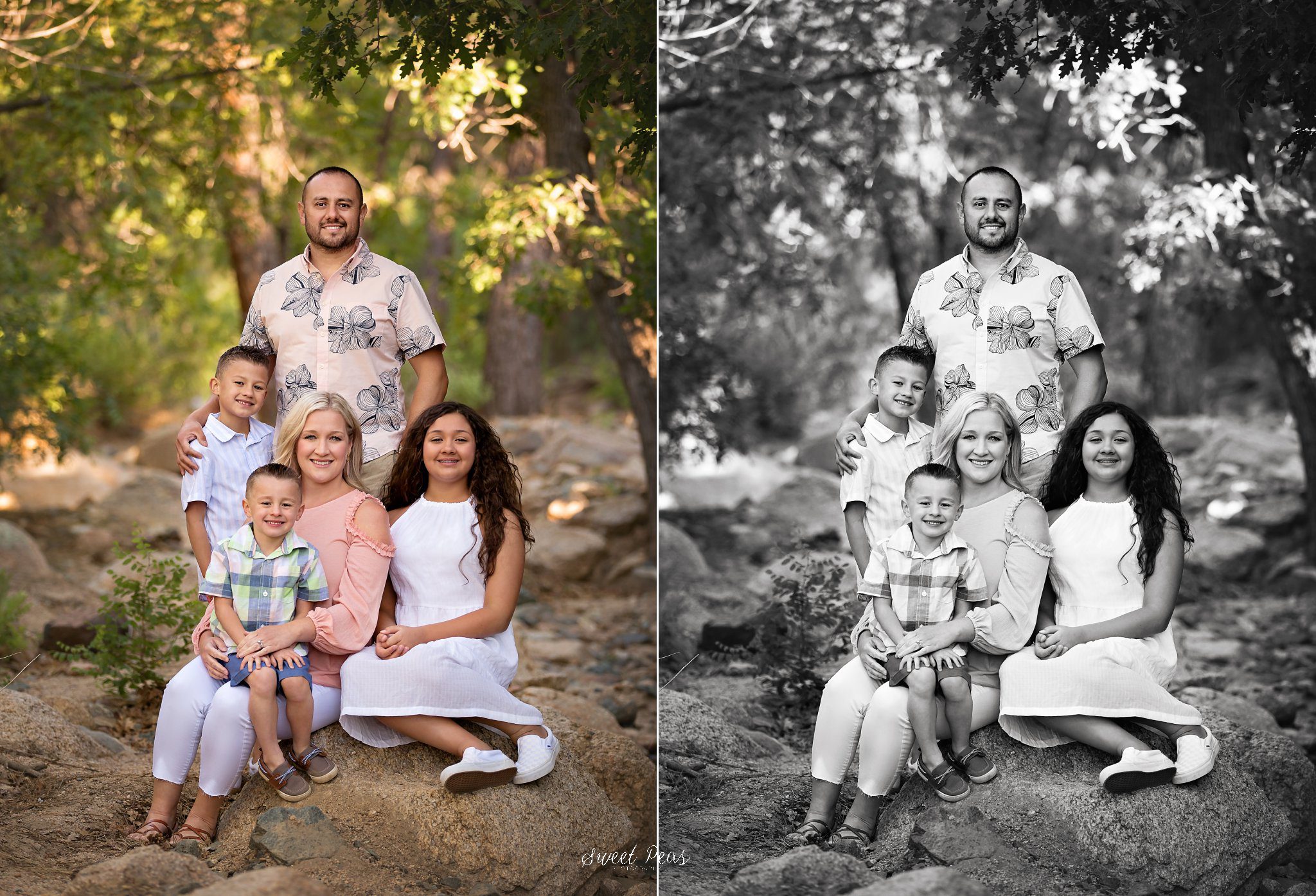 Kingman Family Photographer