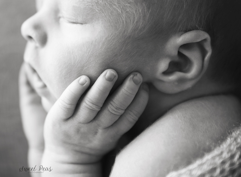 Bullhead City Newborn Photographer