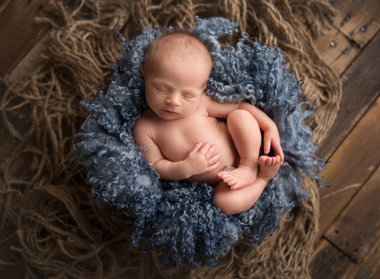 Lake Havasu City Newborn Photographer