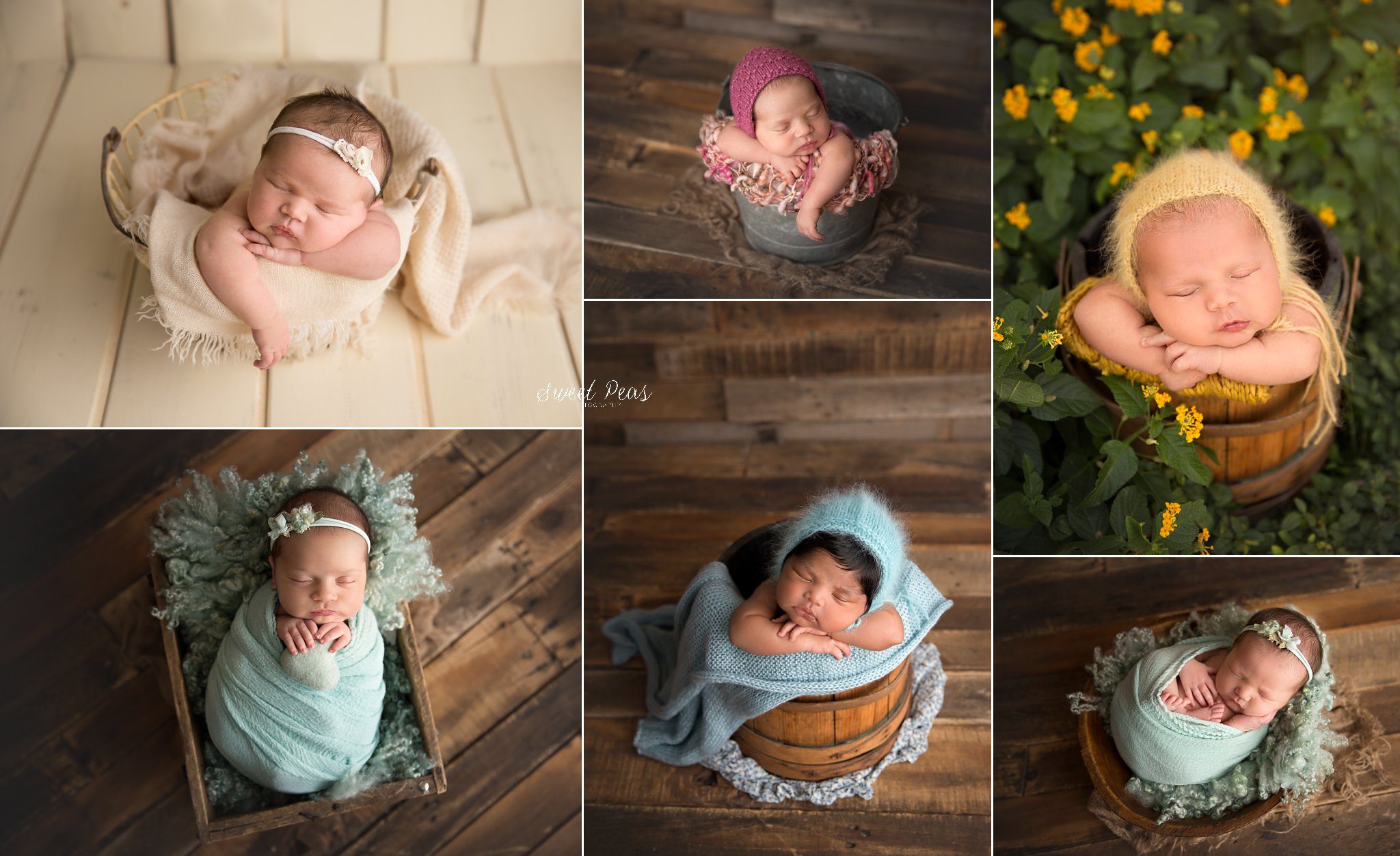 bucket posing newborn photos sweet peas
