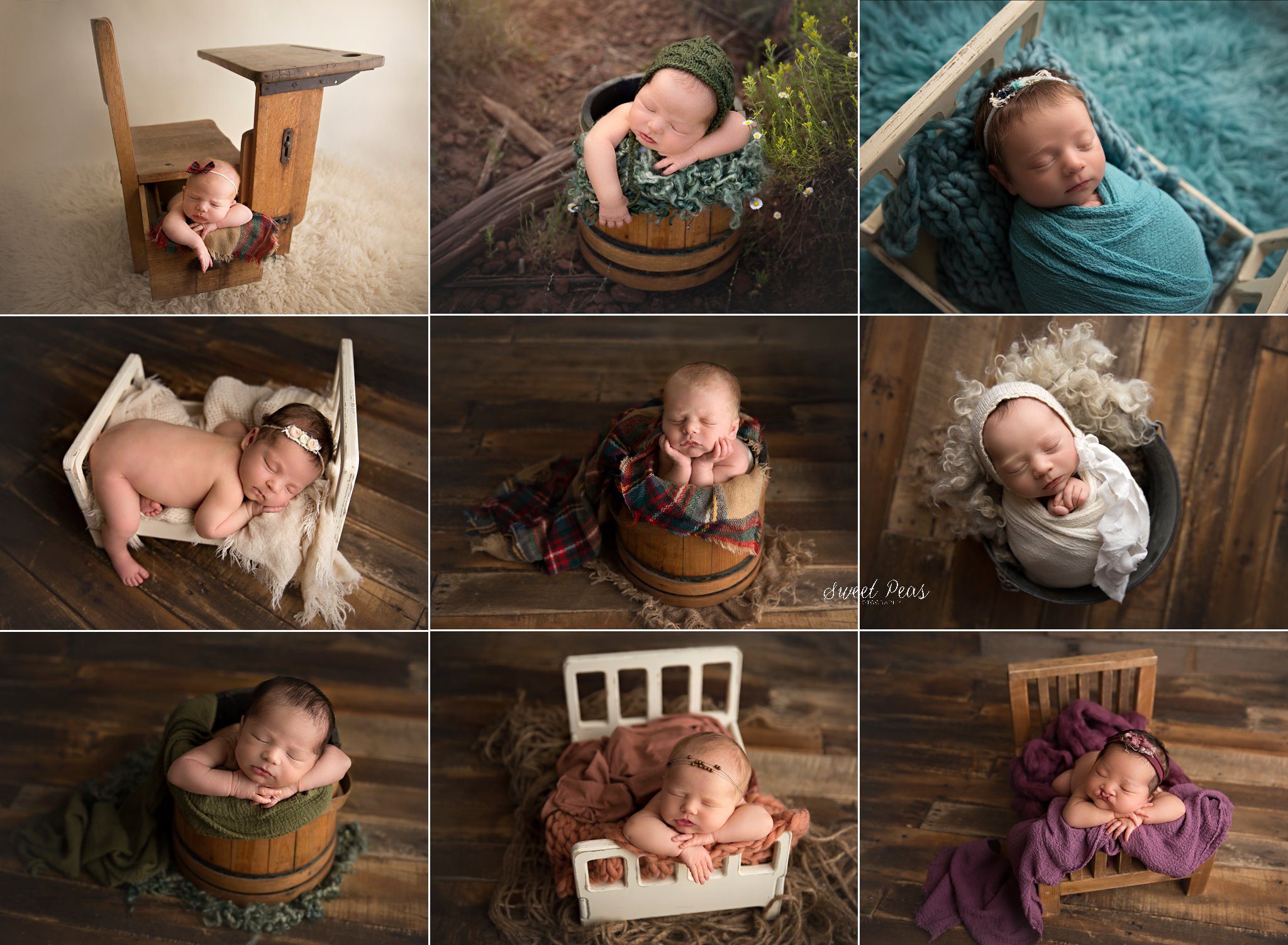 prop posing newborns sweet peas