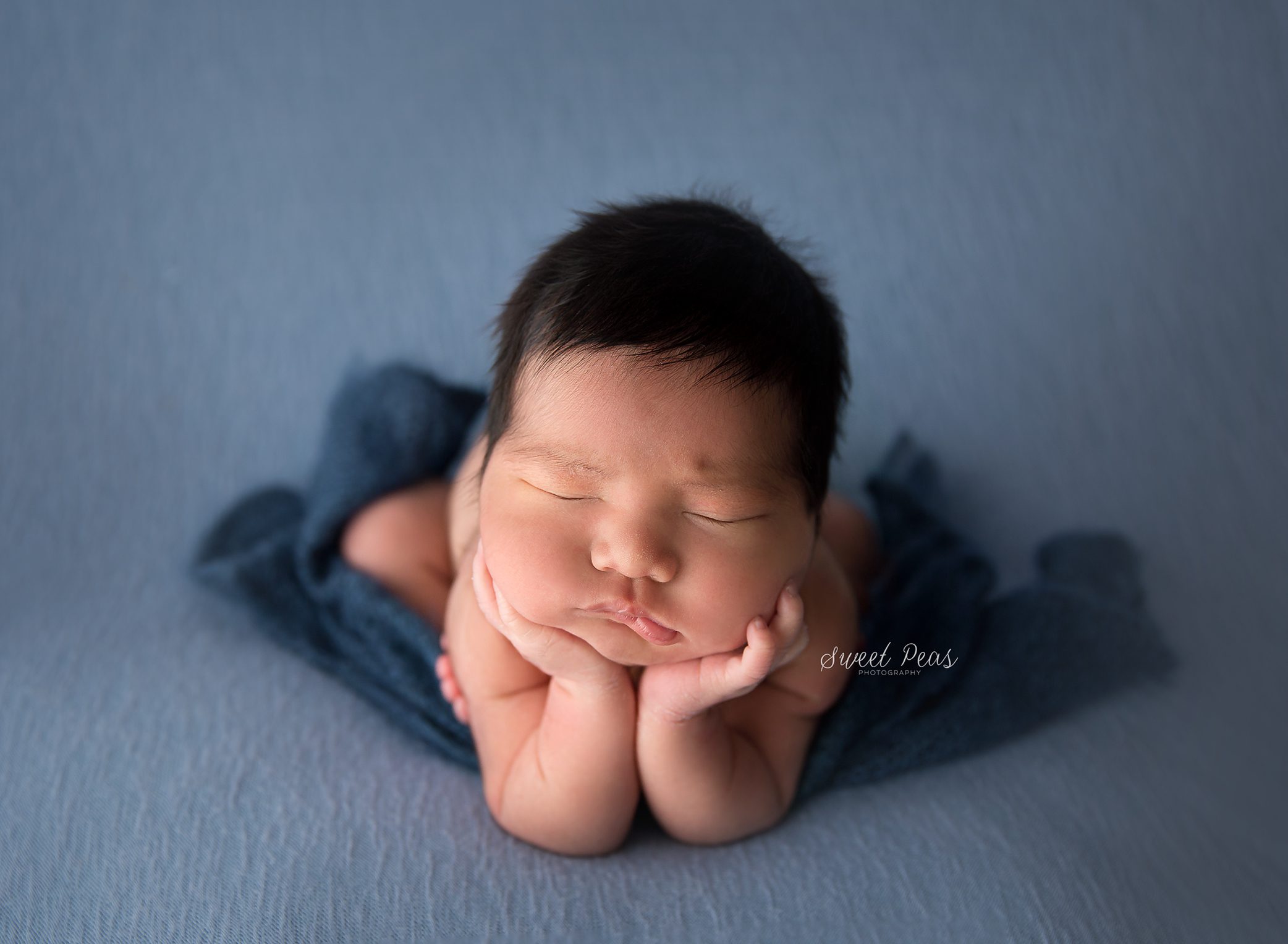 Prescott newborn photographer