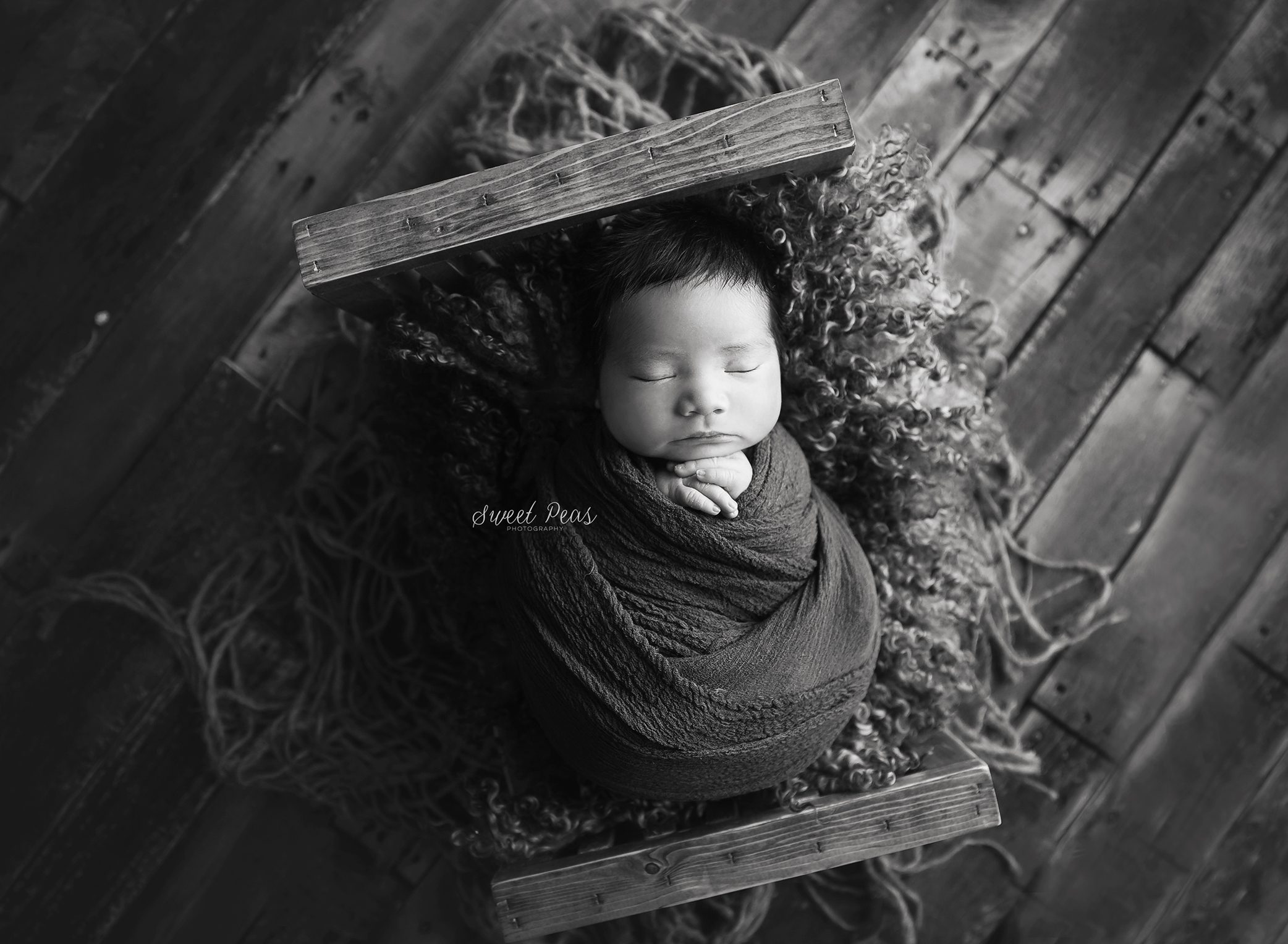 Williams newborn photographer sweet peas