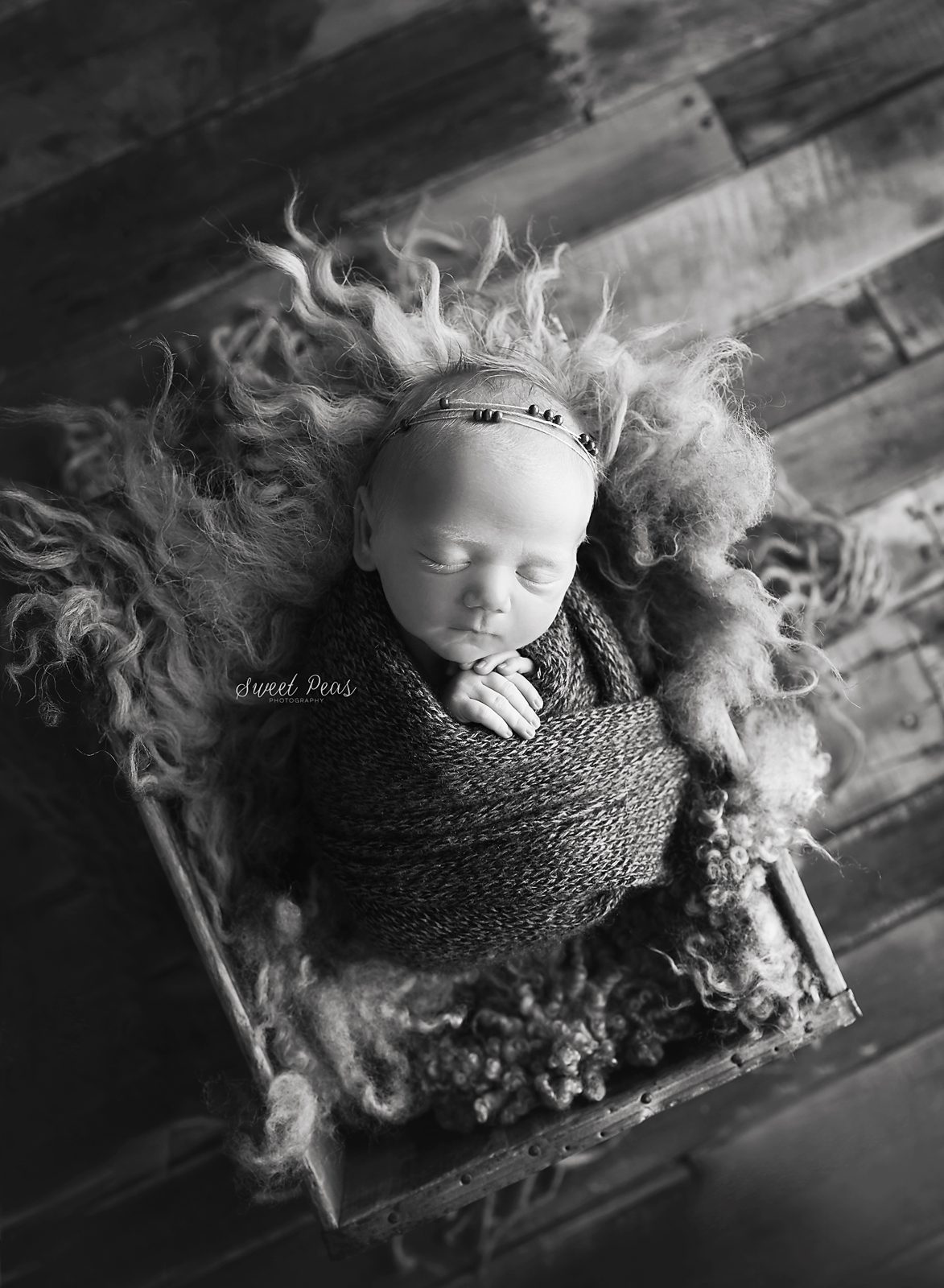 Flagstaff Newborn Photographer