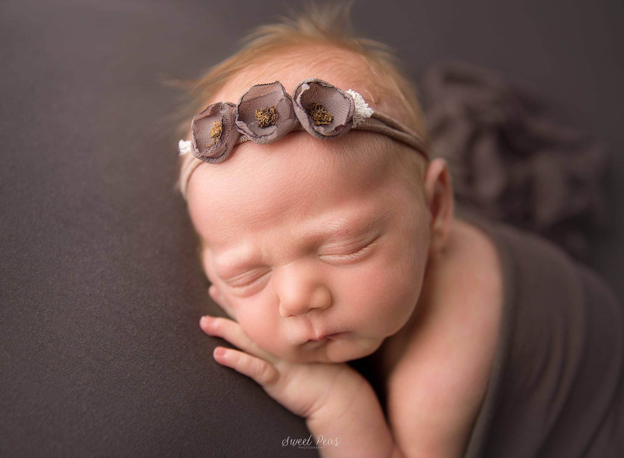 sweet peas photography