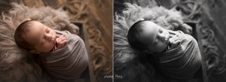 Lake Havasu Newborn Photographer