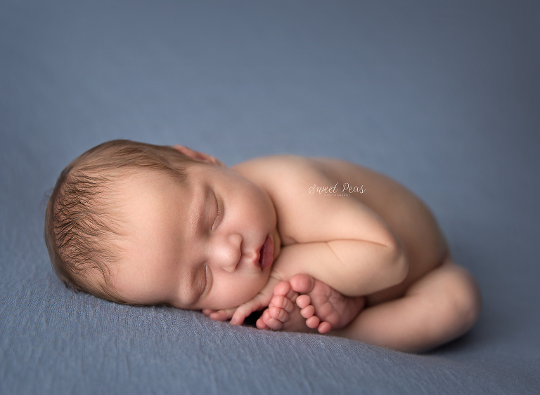 Flagstaff Newborn Photographer