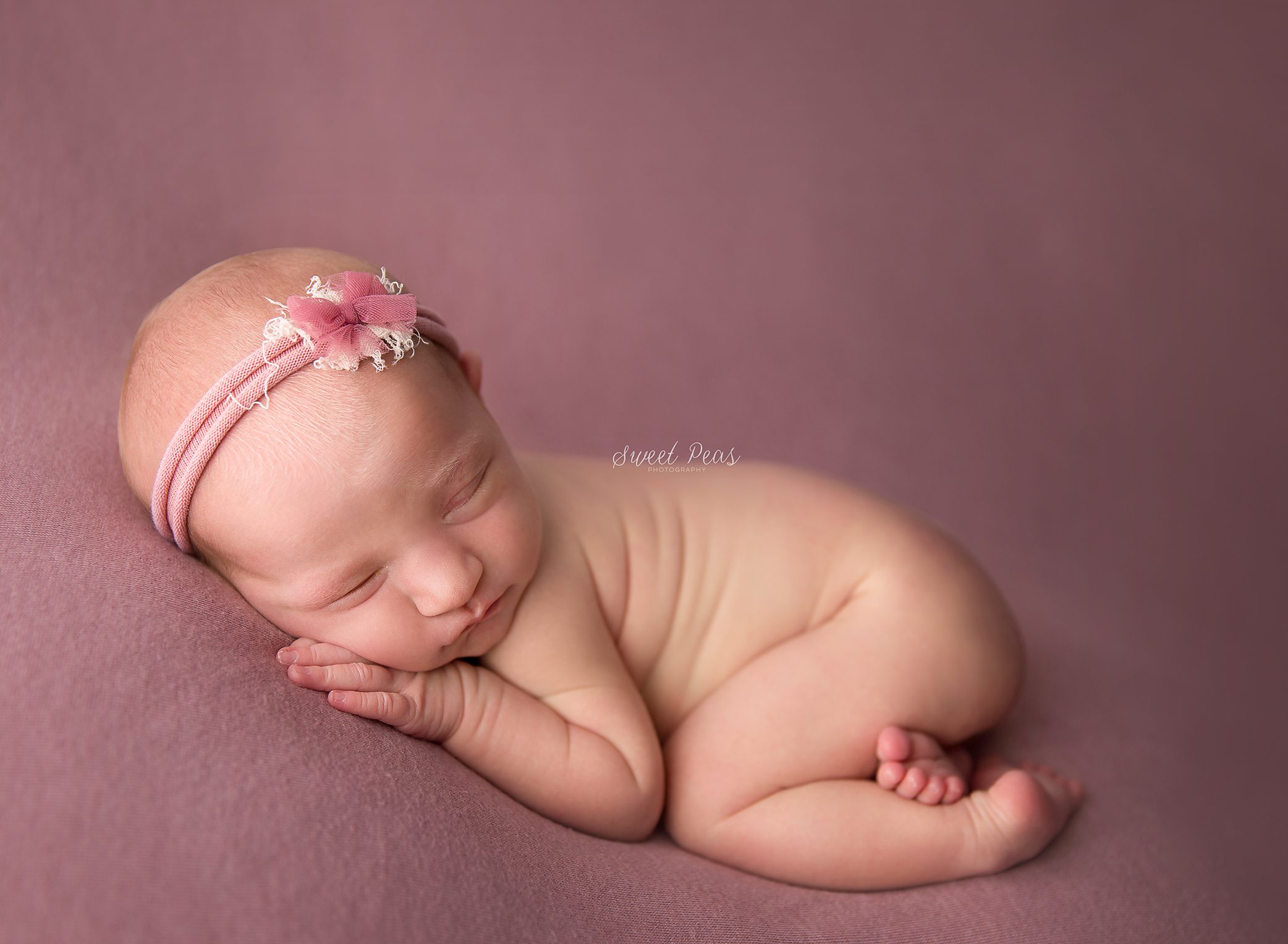 Prescott Newborn Photographer