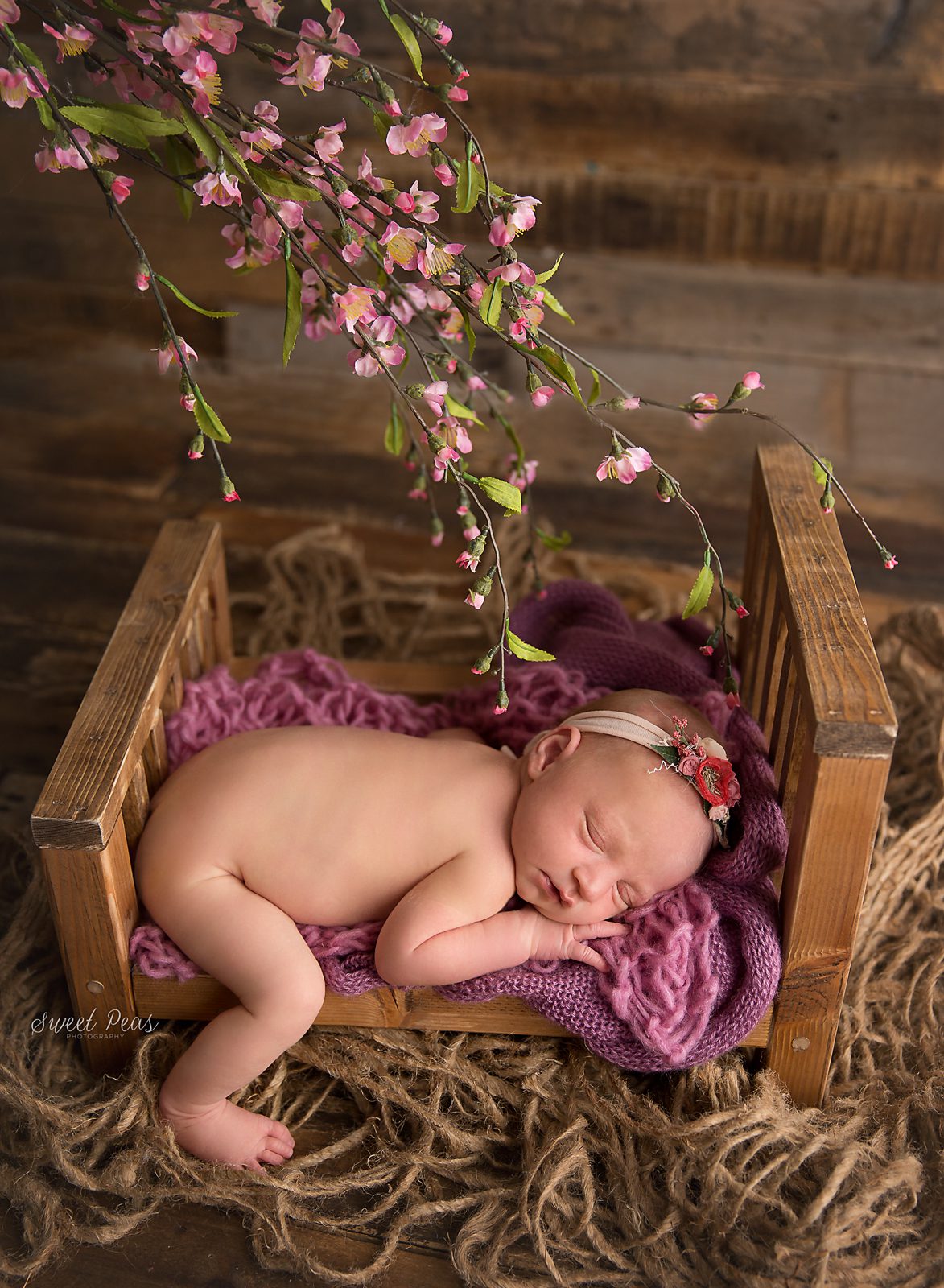 Prescott Newborn Photographer