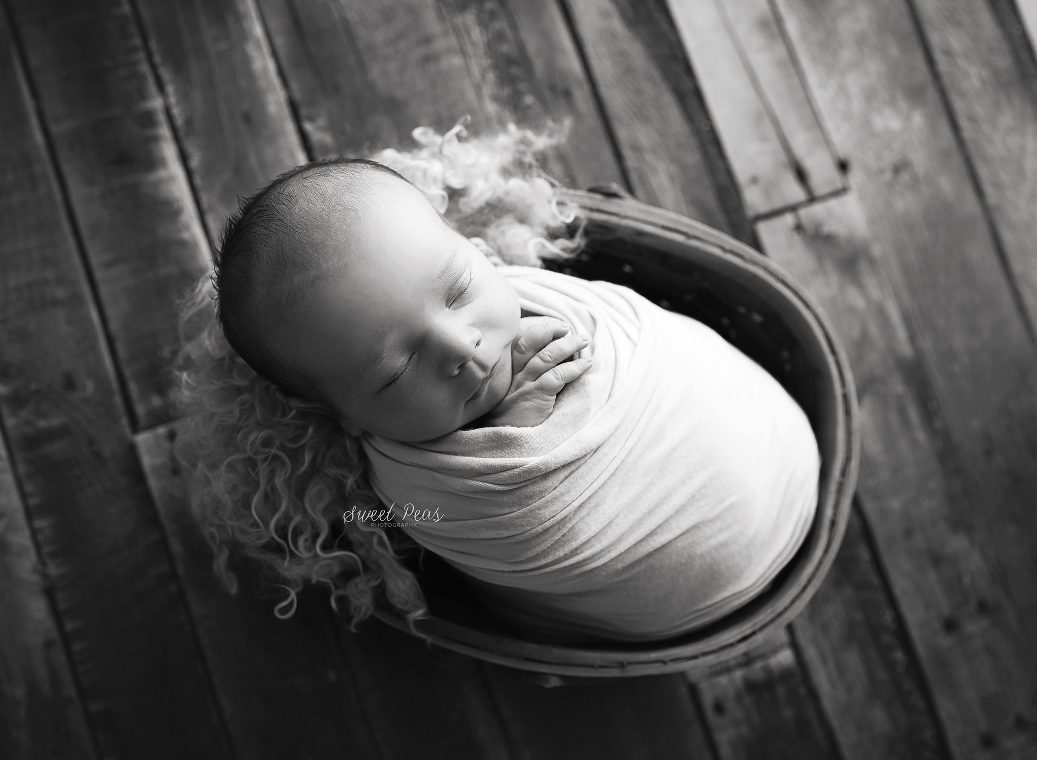 Williams Newborn Photographer