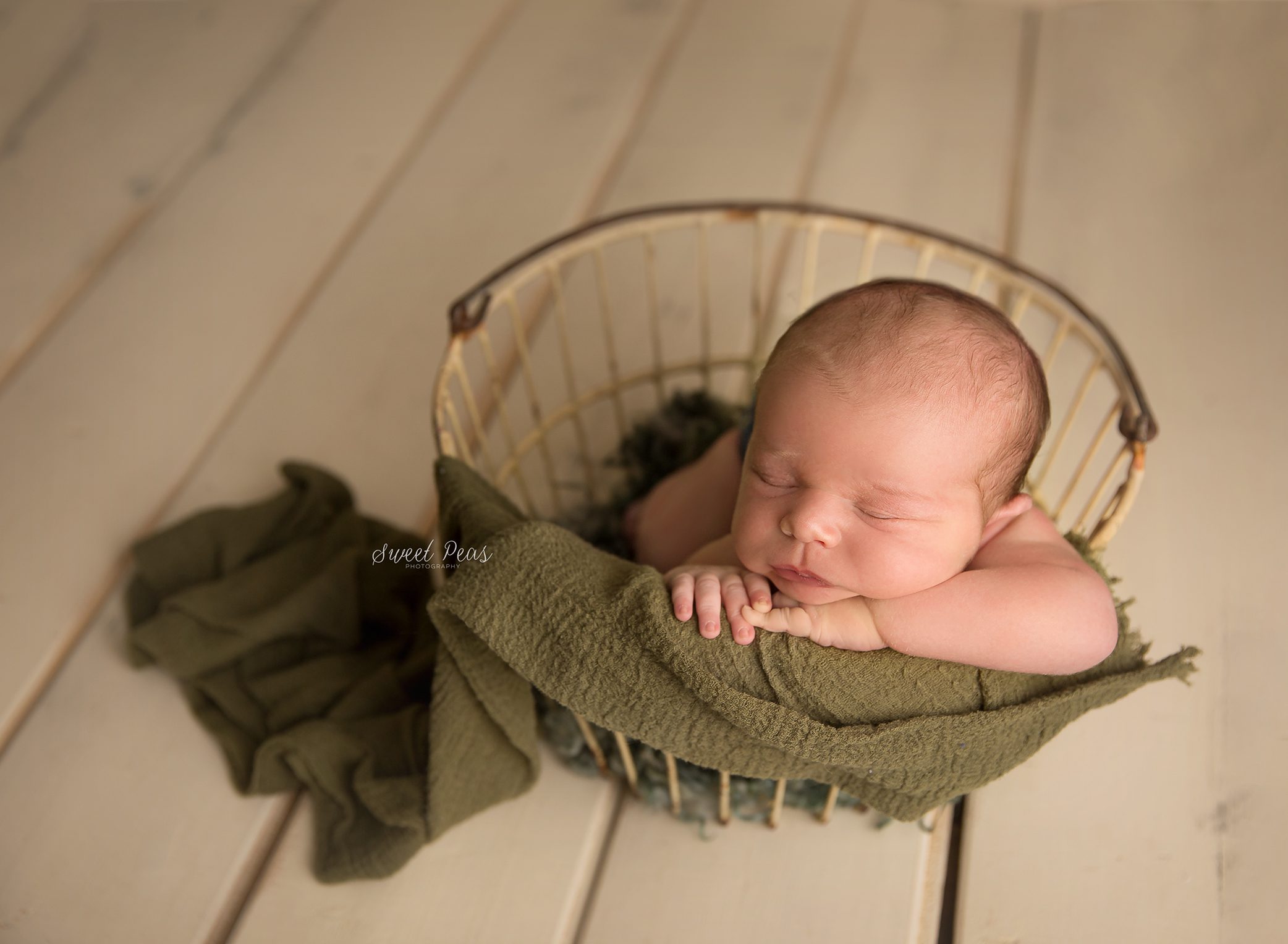 Bullhead City Newborn Photographer