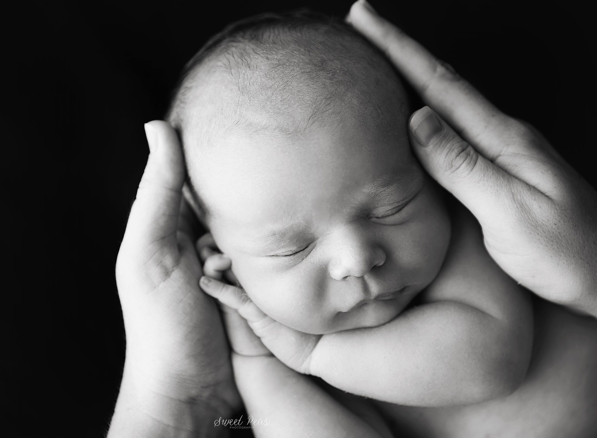 Kingman Arizona Newborn Photographer sweet peas