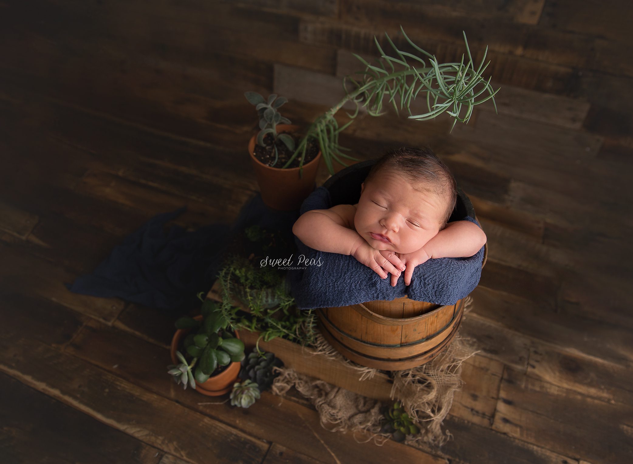 Prescott Newborn Photographer sweet peas photography