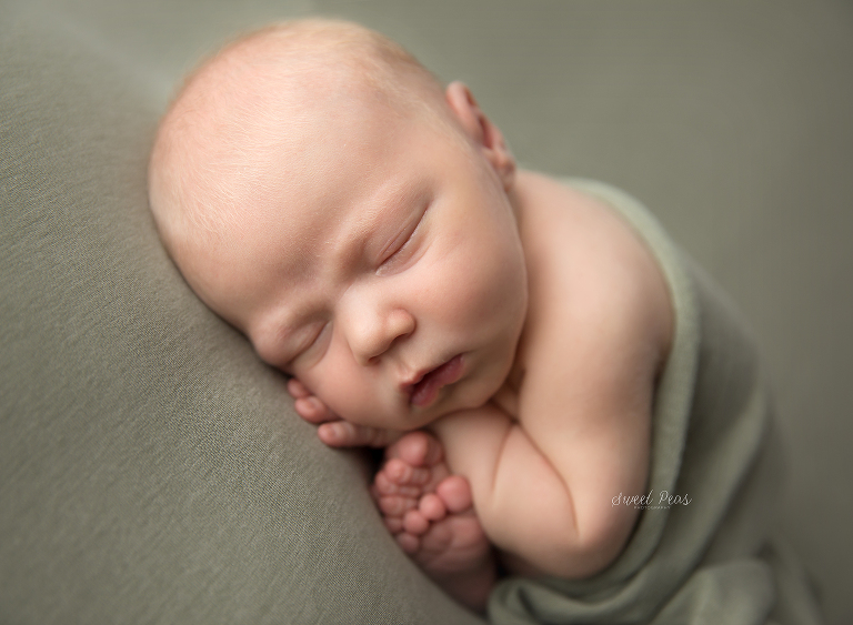 Prescott Newborn Photographer