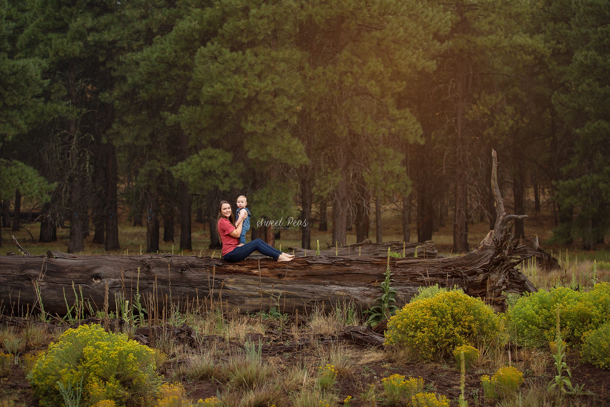 Williams Baby Photographer sweet peas