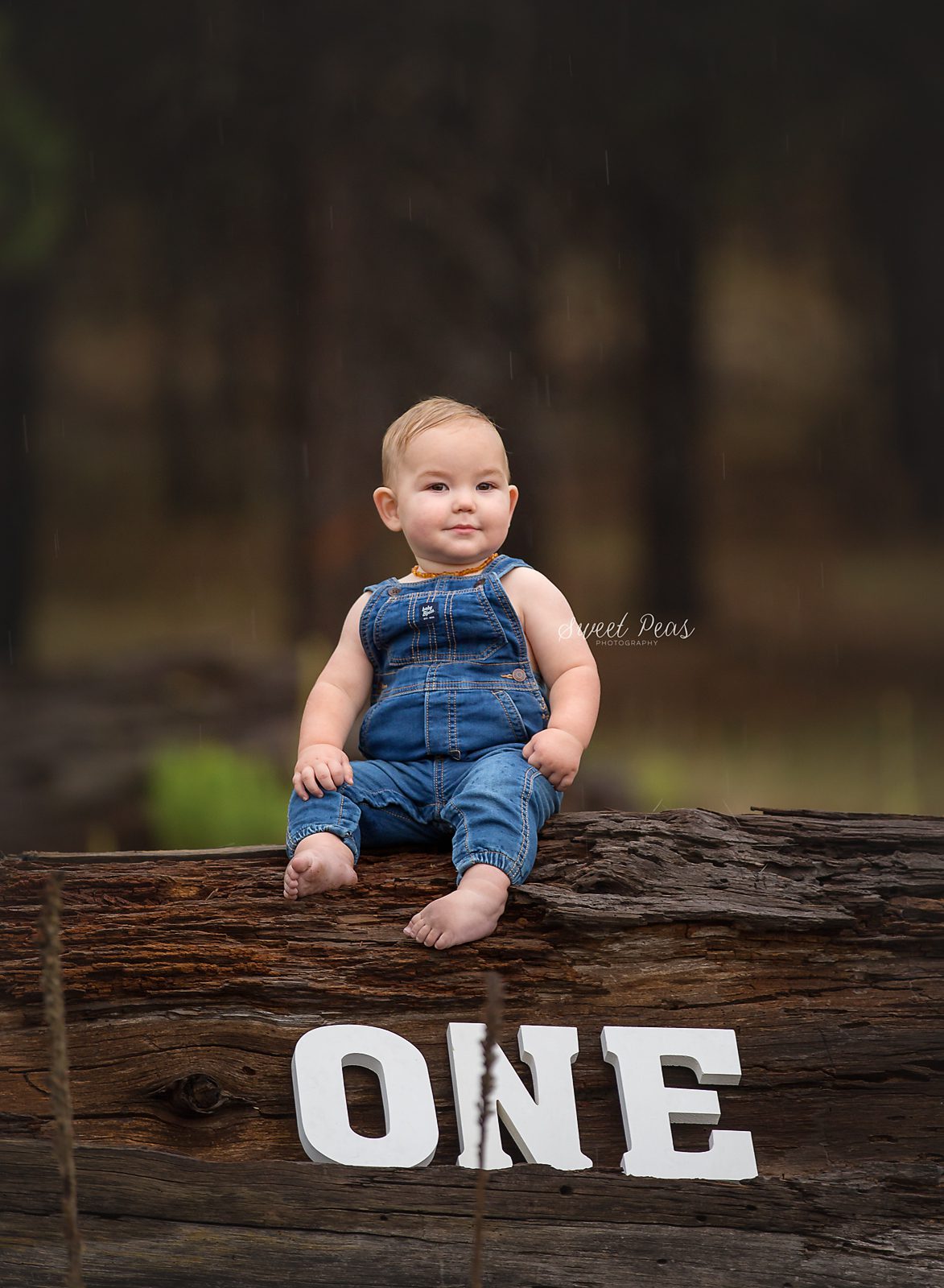 Kingman Baby Photographer
