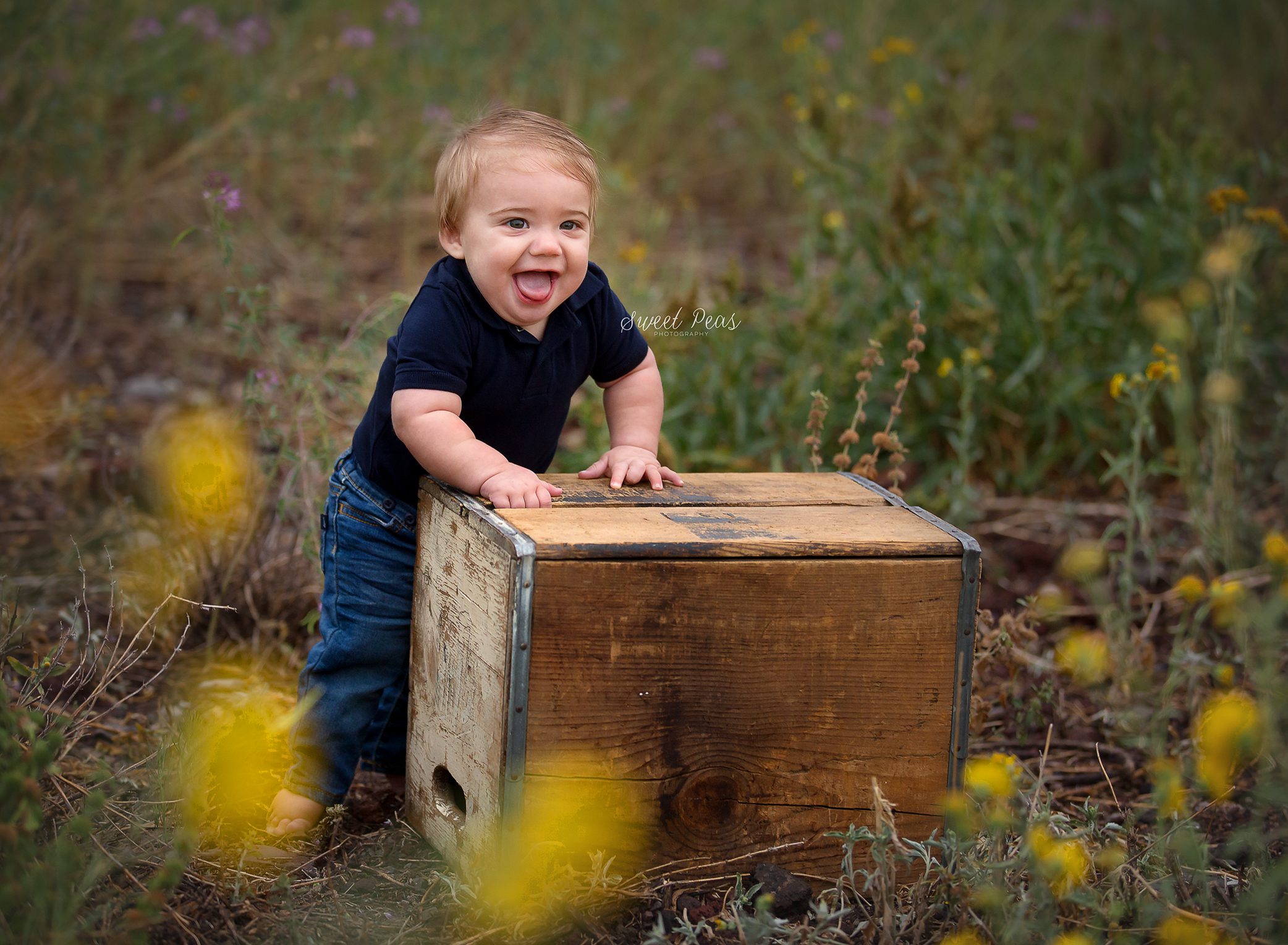 Flagstaff Baby Photographer