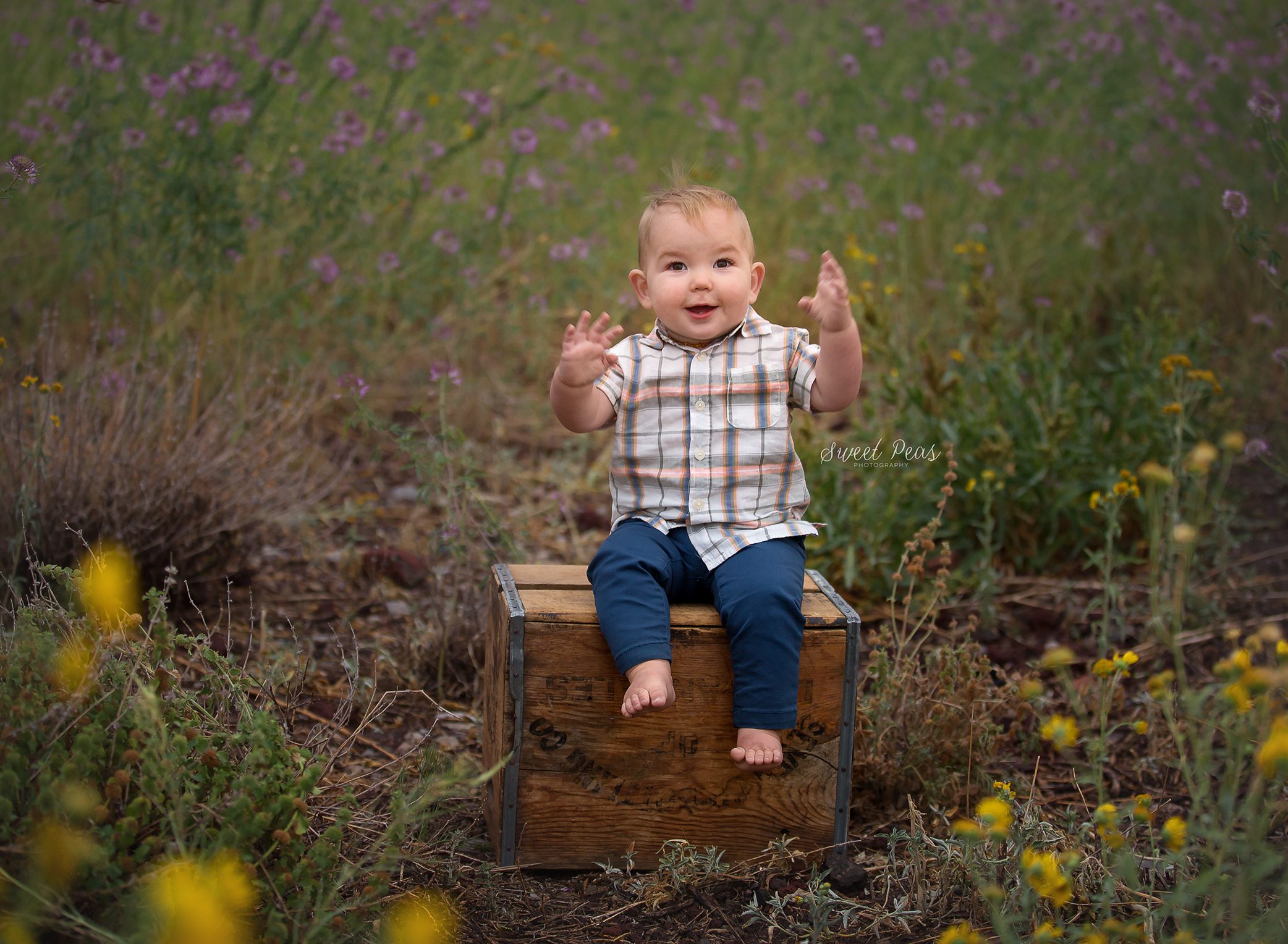 Kingman Baby Photographer
