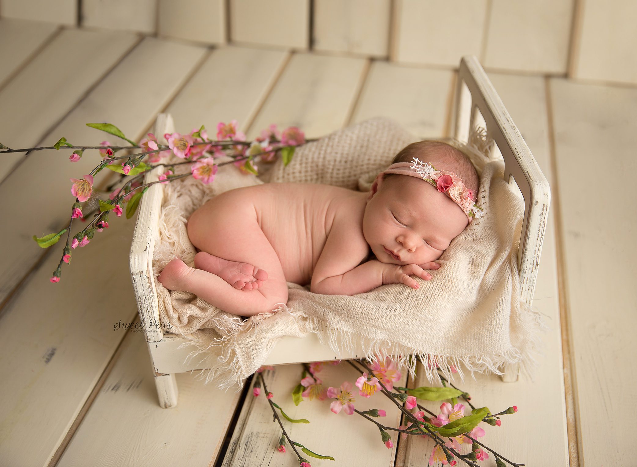 Kingman Baby Photographer