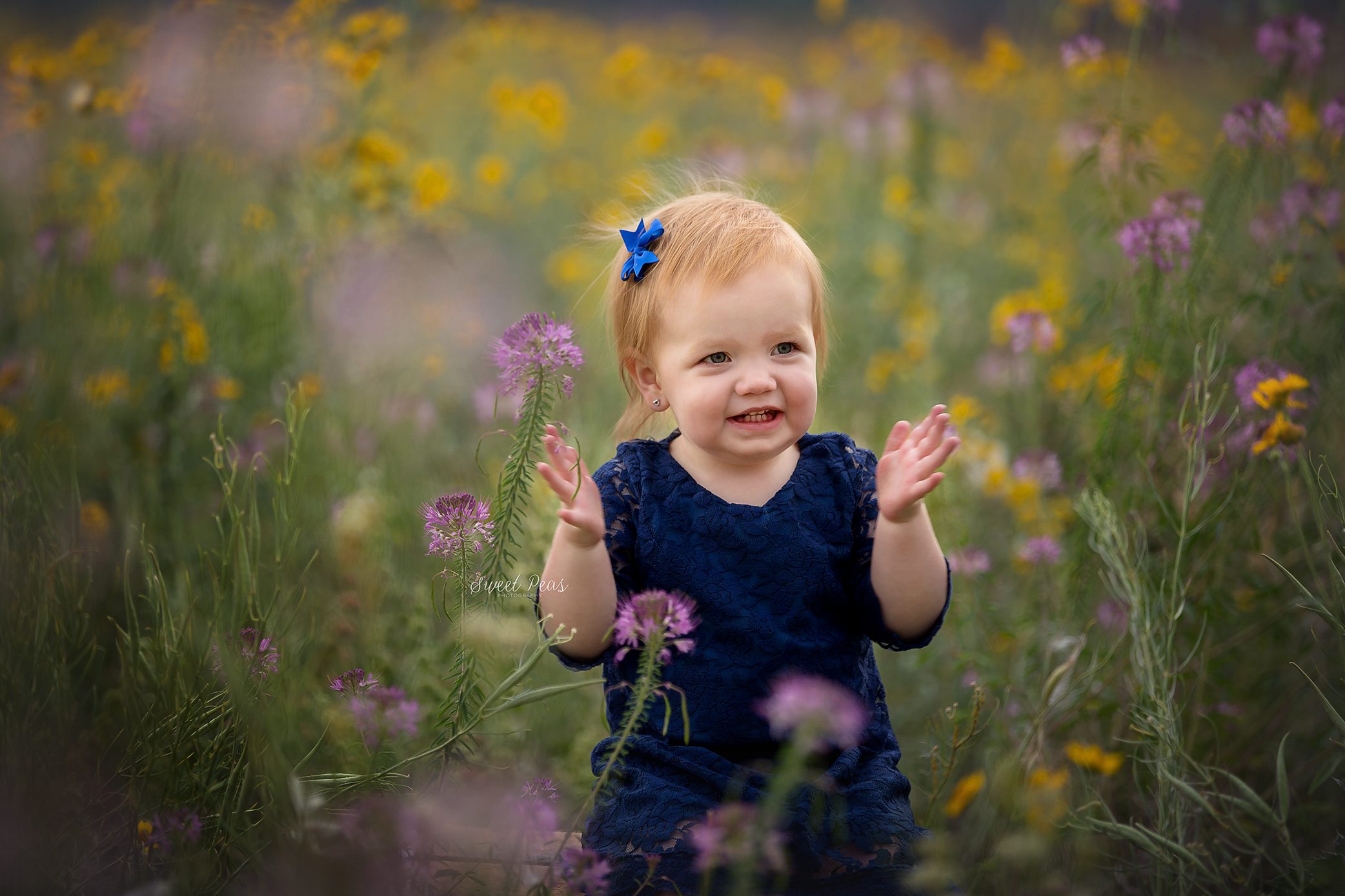 Kingman Baby Photographer