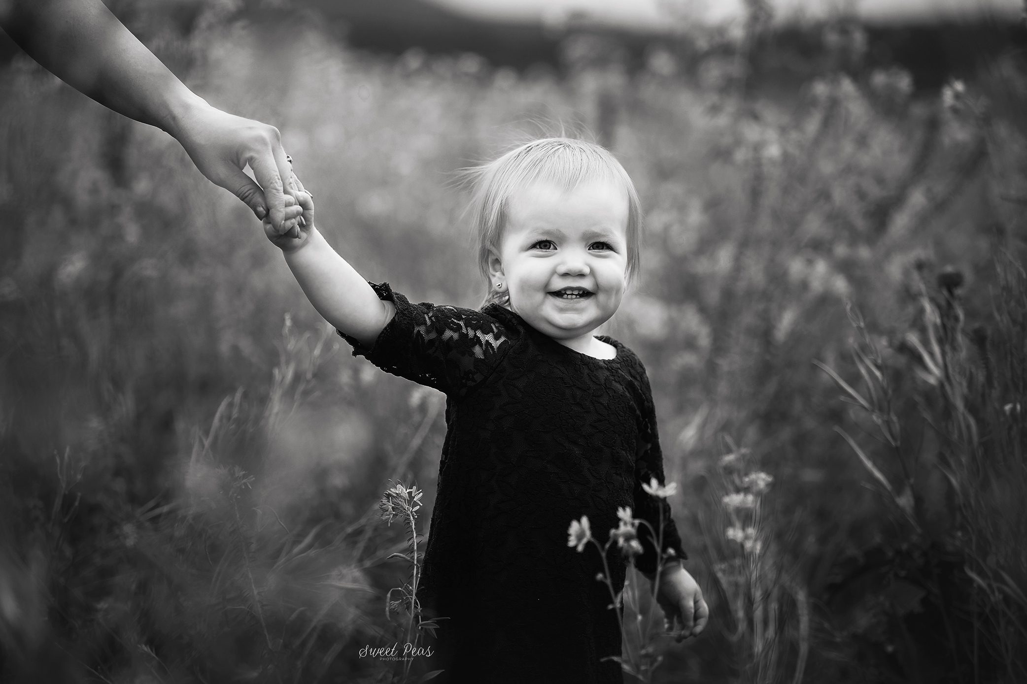 Flagstaff Baby Photographer