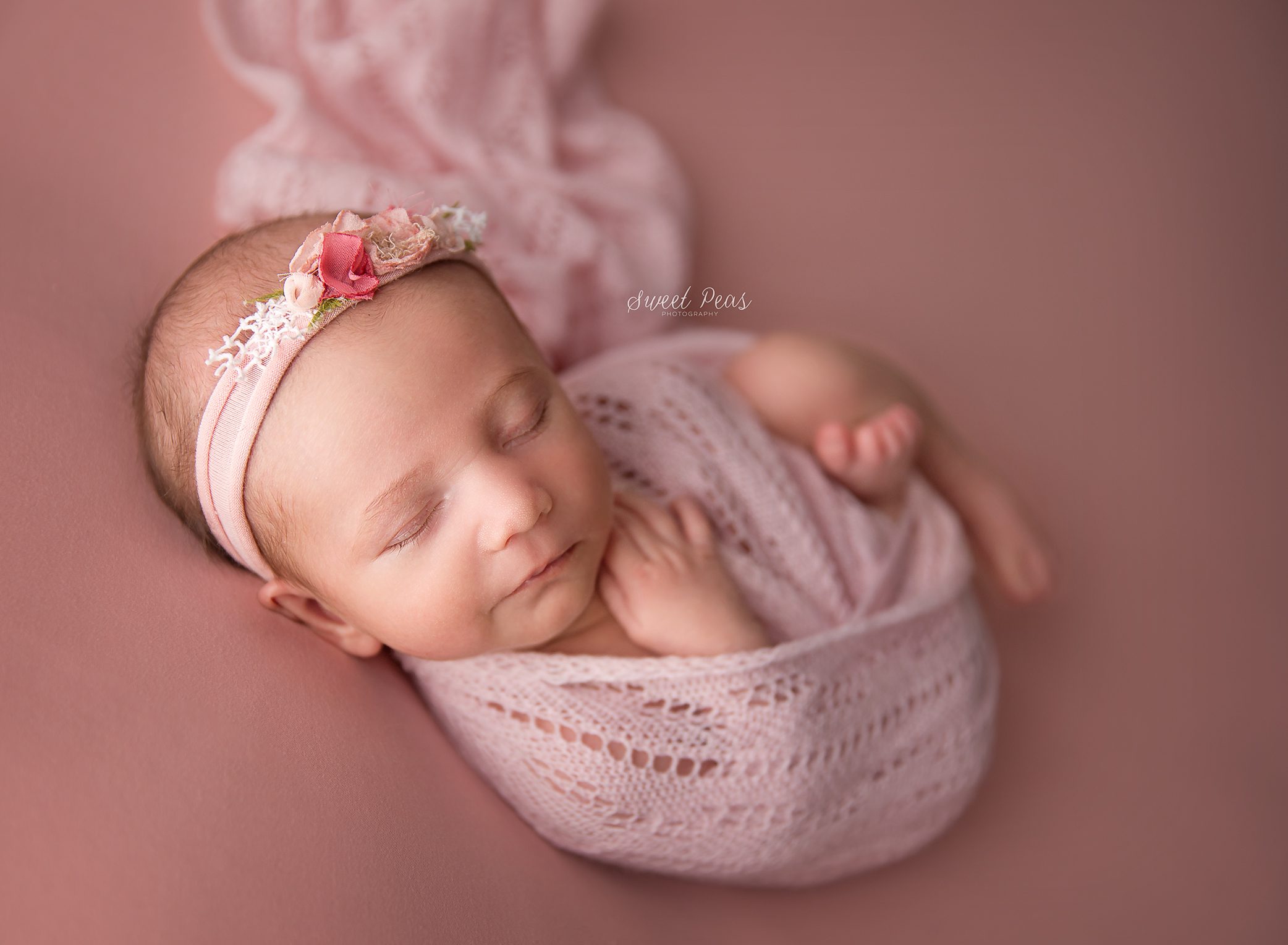 Prescott Newborn Photographer