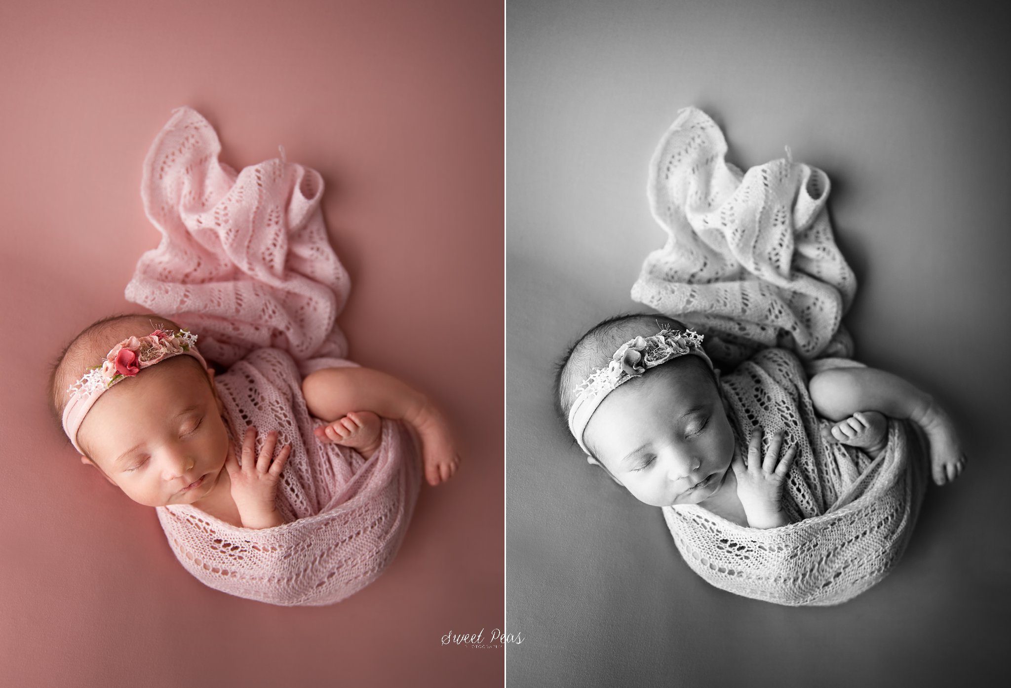 Williams Newborn Photographer