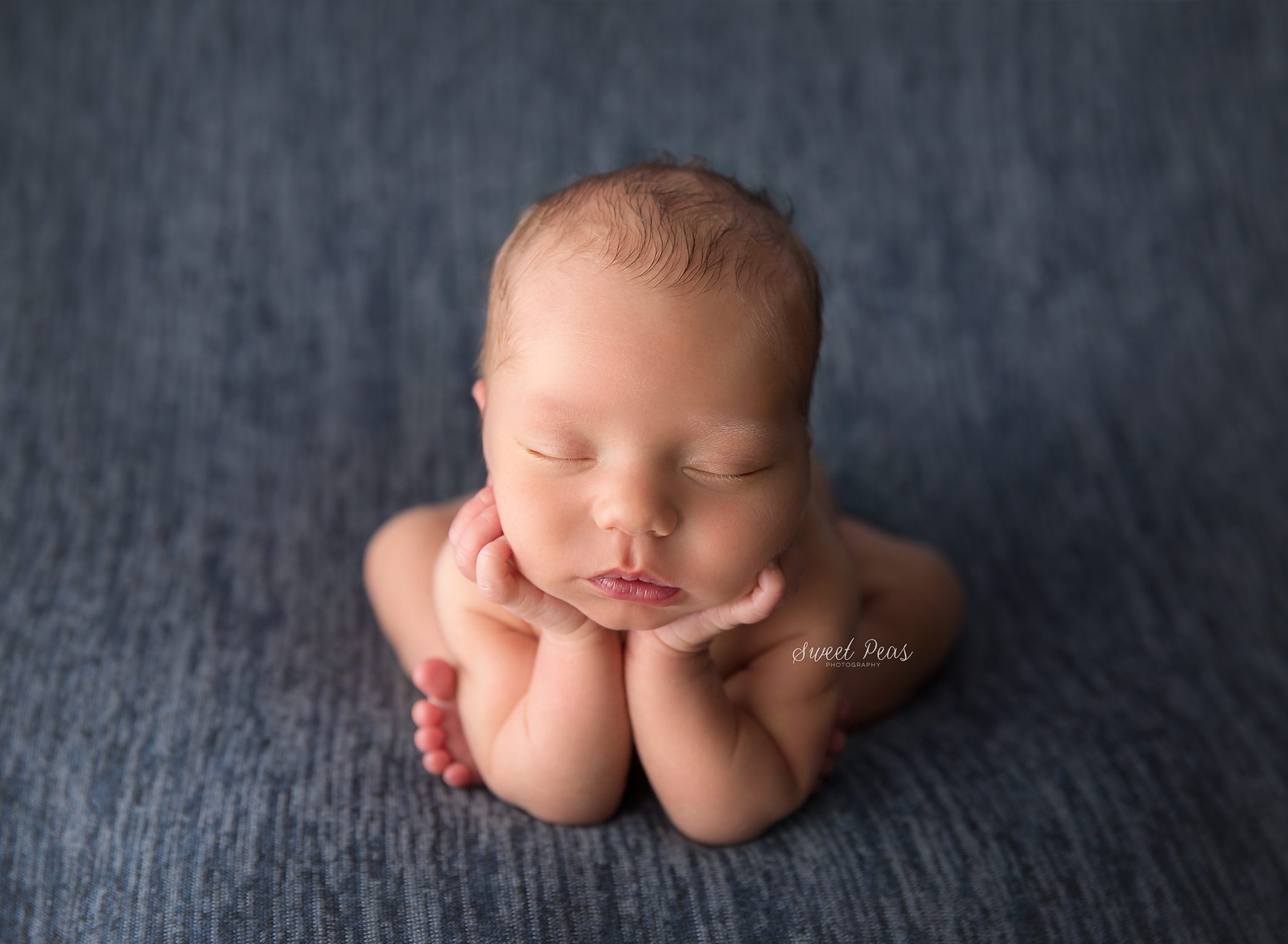 Prescott Newborn Photographer