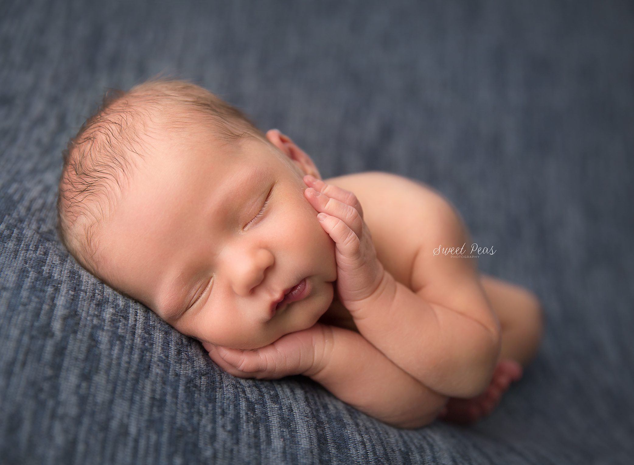 Mohave Valley Newborn Photographer