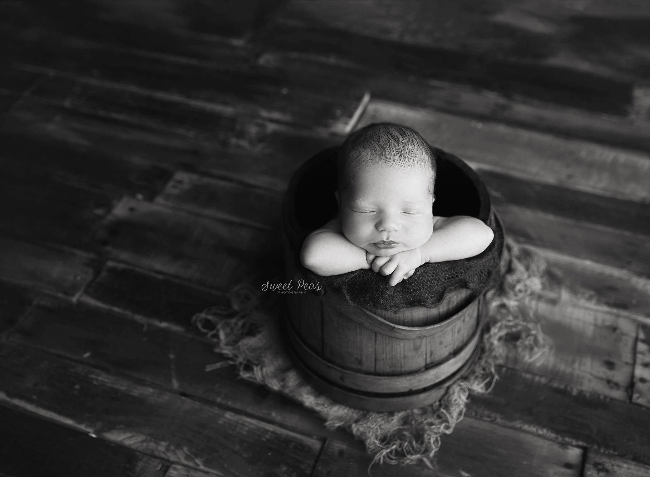 Kingman sweet peas photography