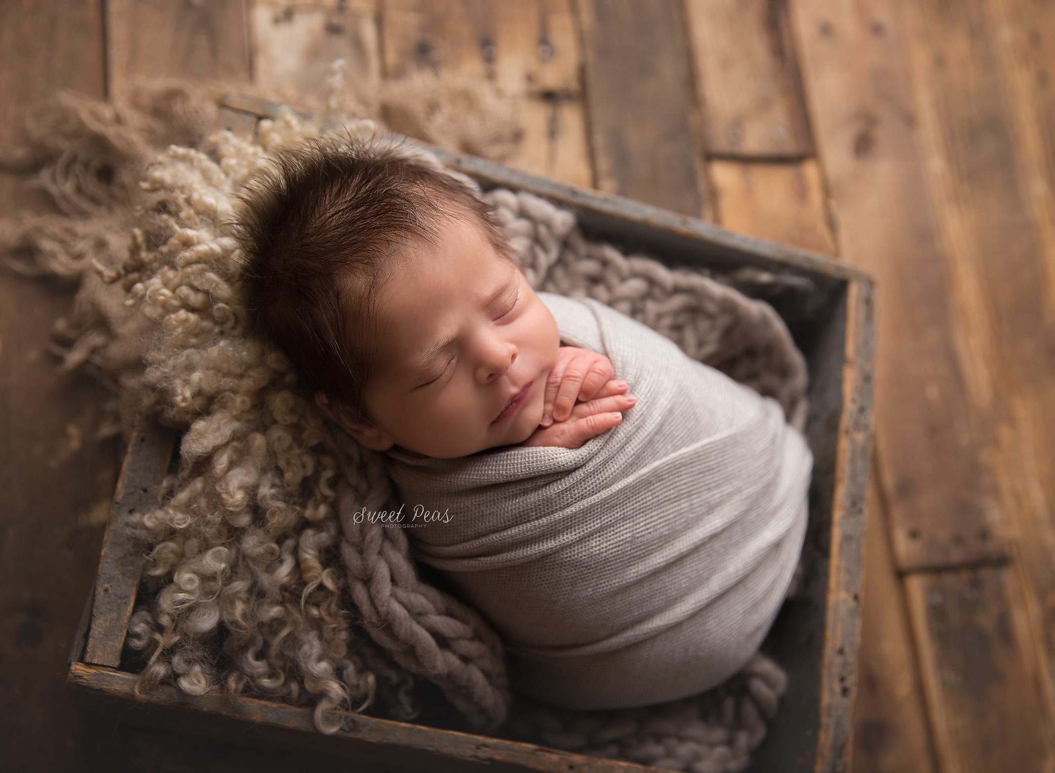 Williams Newborn Photographer