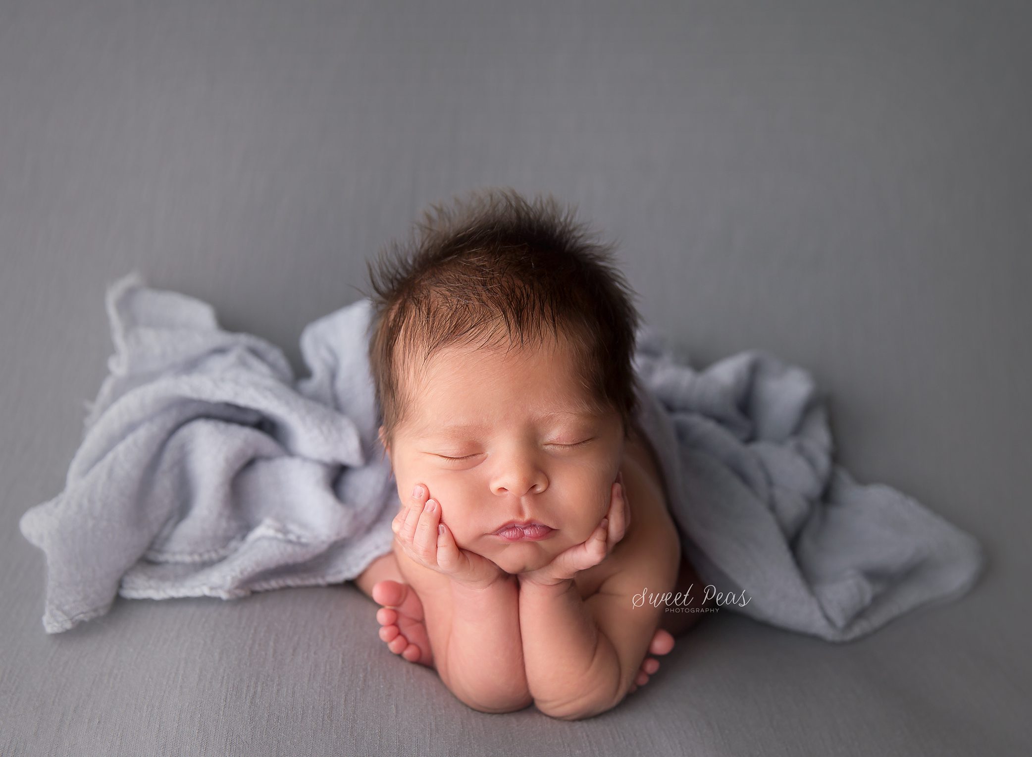 Prescott Newborn Photographer
