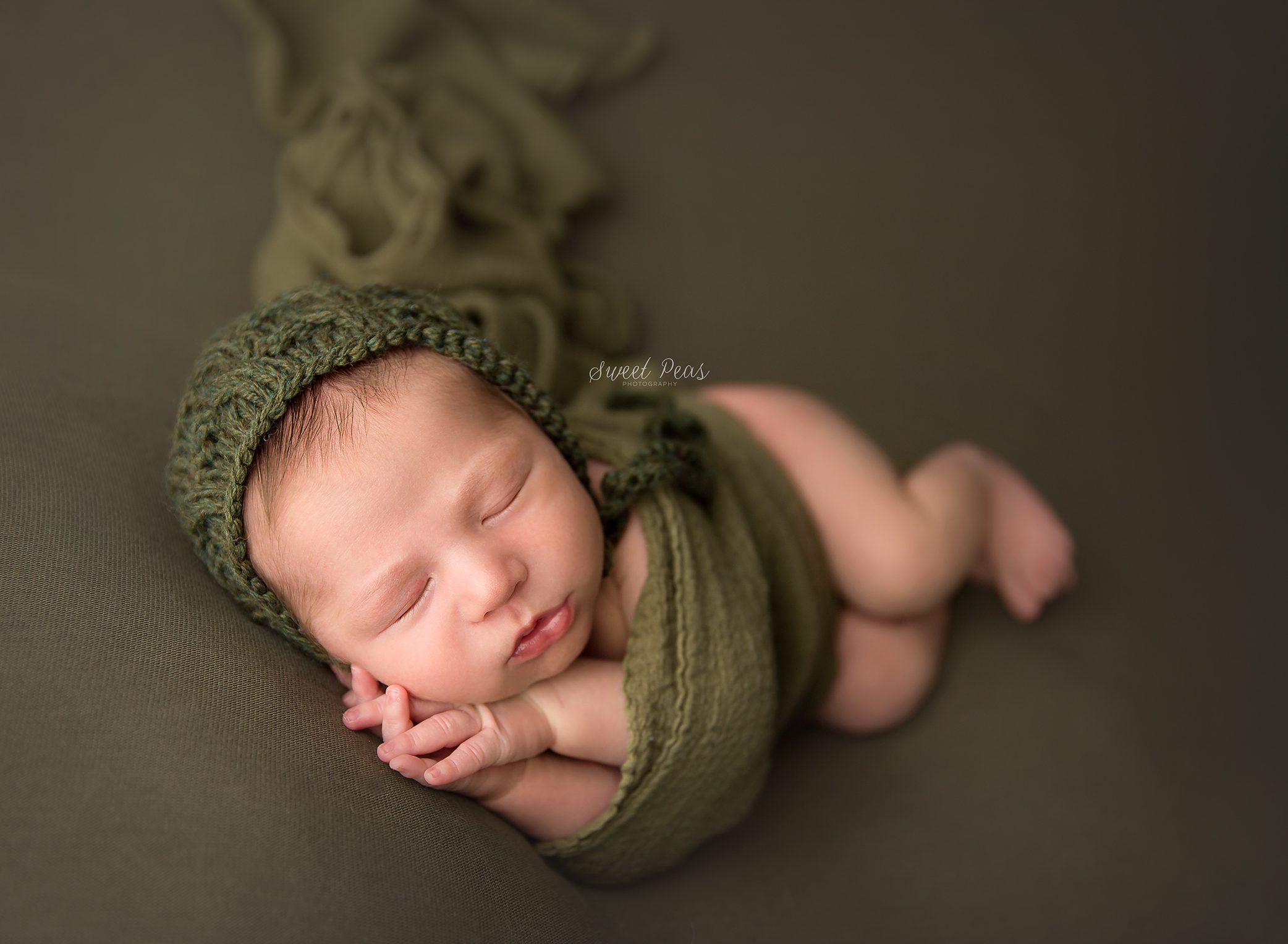 Prescott Newborn Photographer
