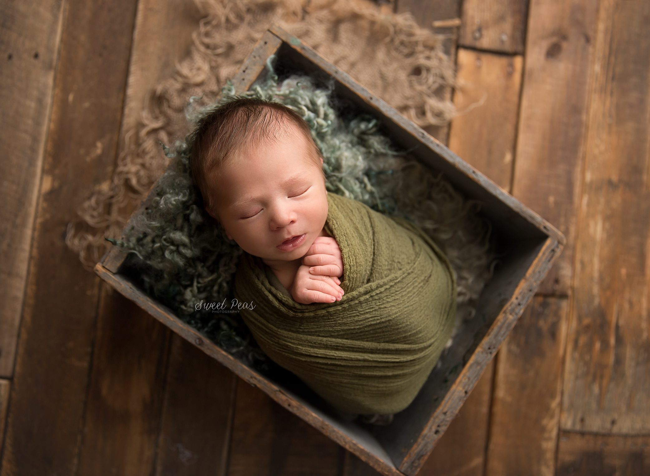 Mohave Valley Newborn Photographer