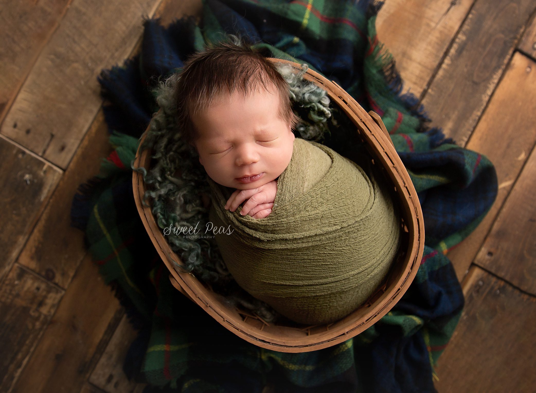 Williams Newborn Photographer