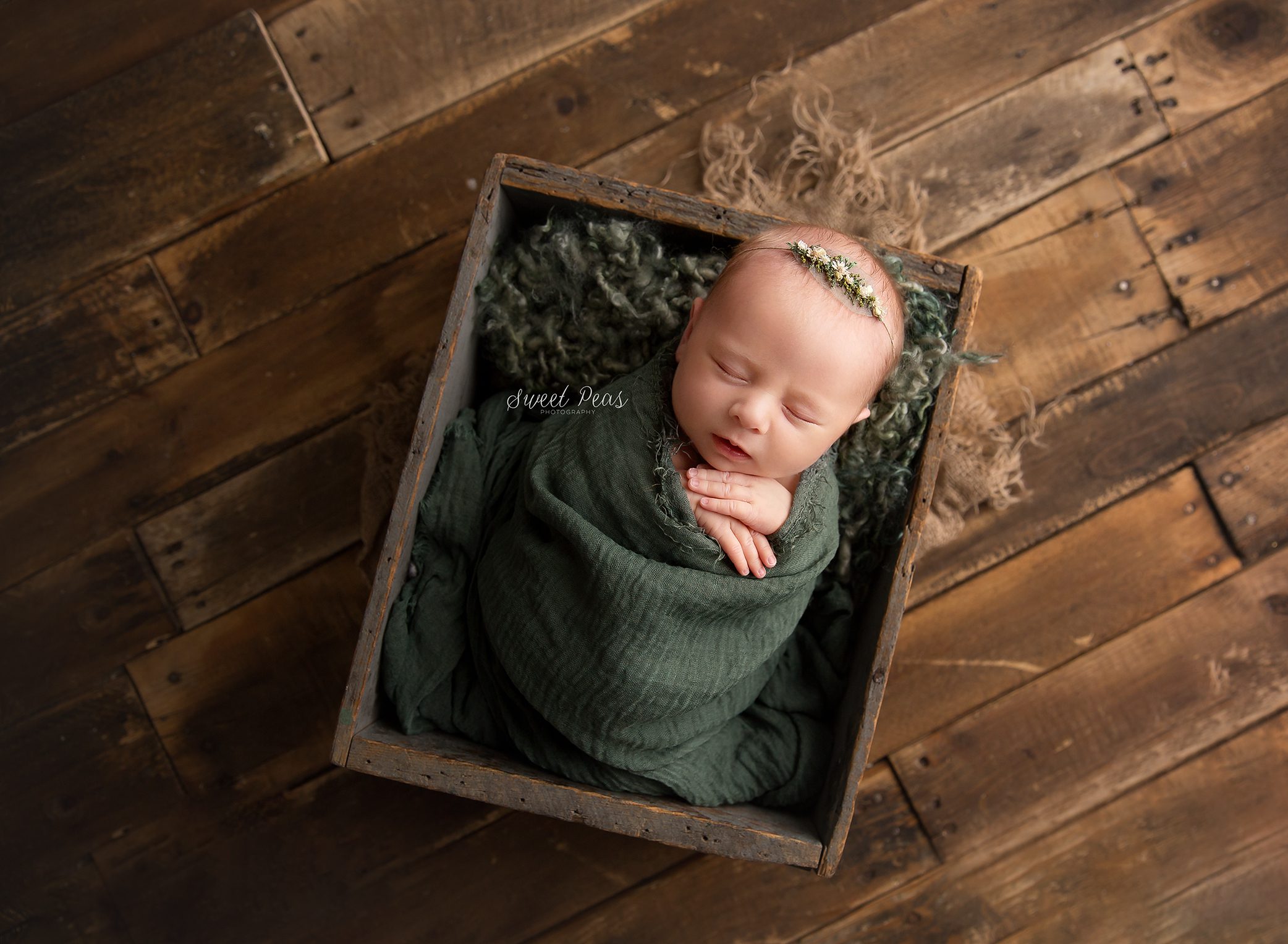 Lake Havasu City Newborn Photographer sweet pea