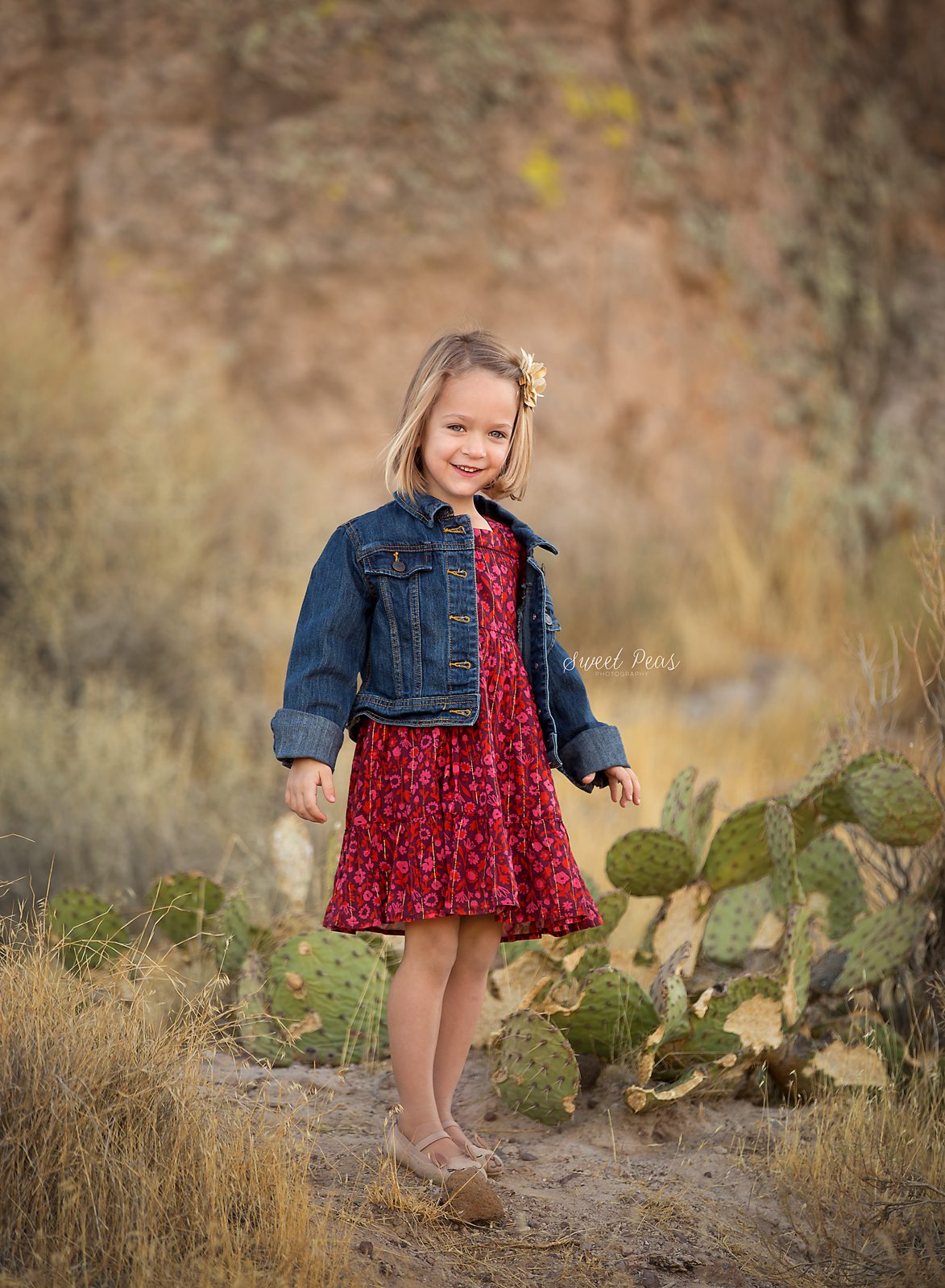 Kingman Baby Photographer