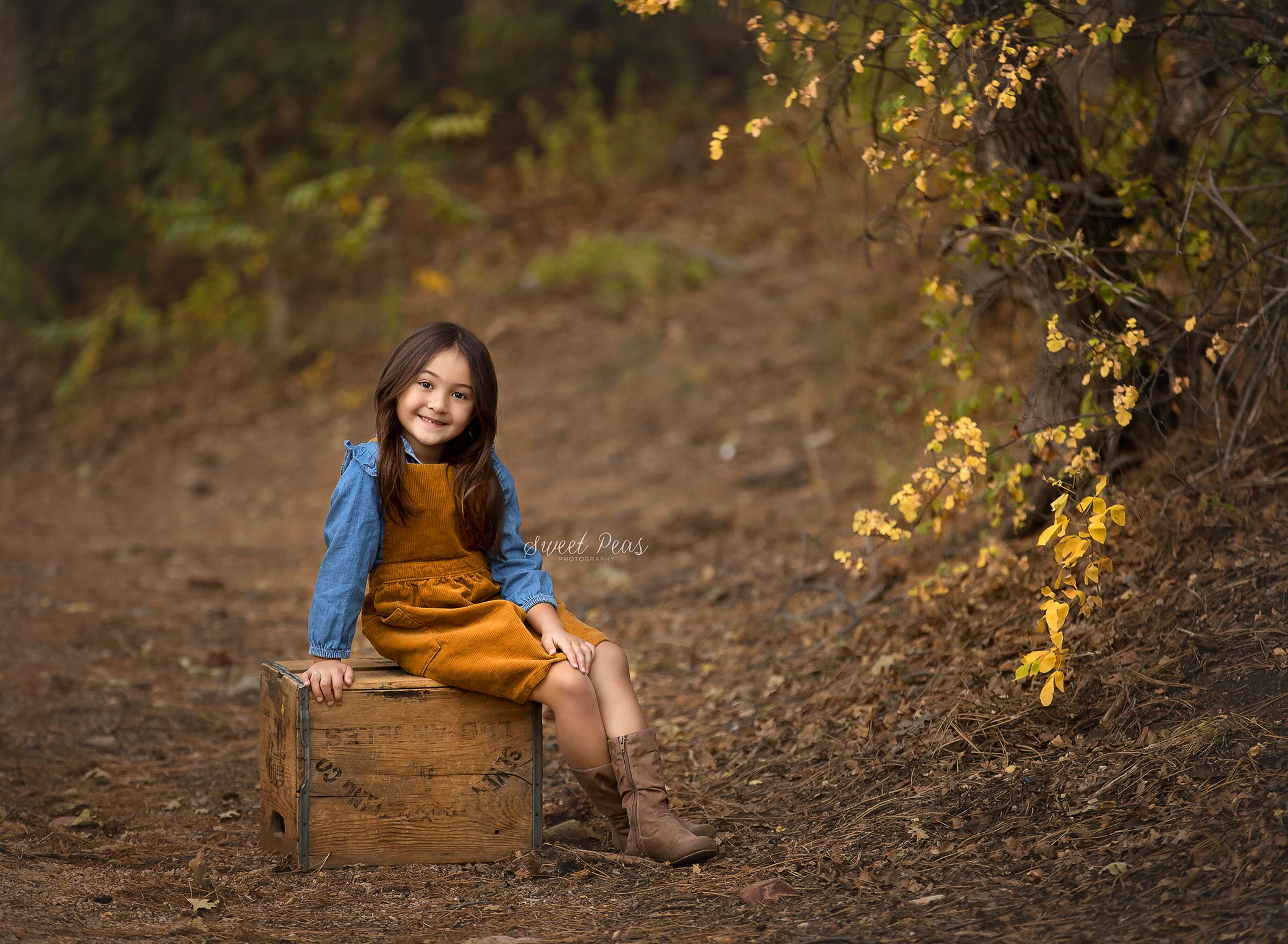 Mohave County Photographer